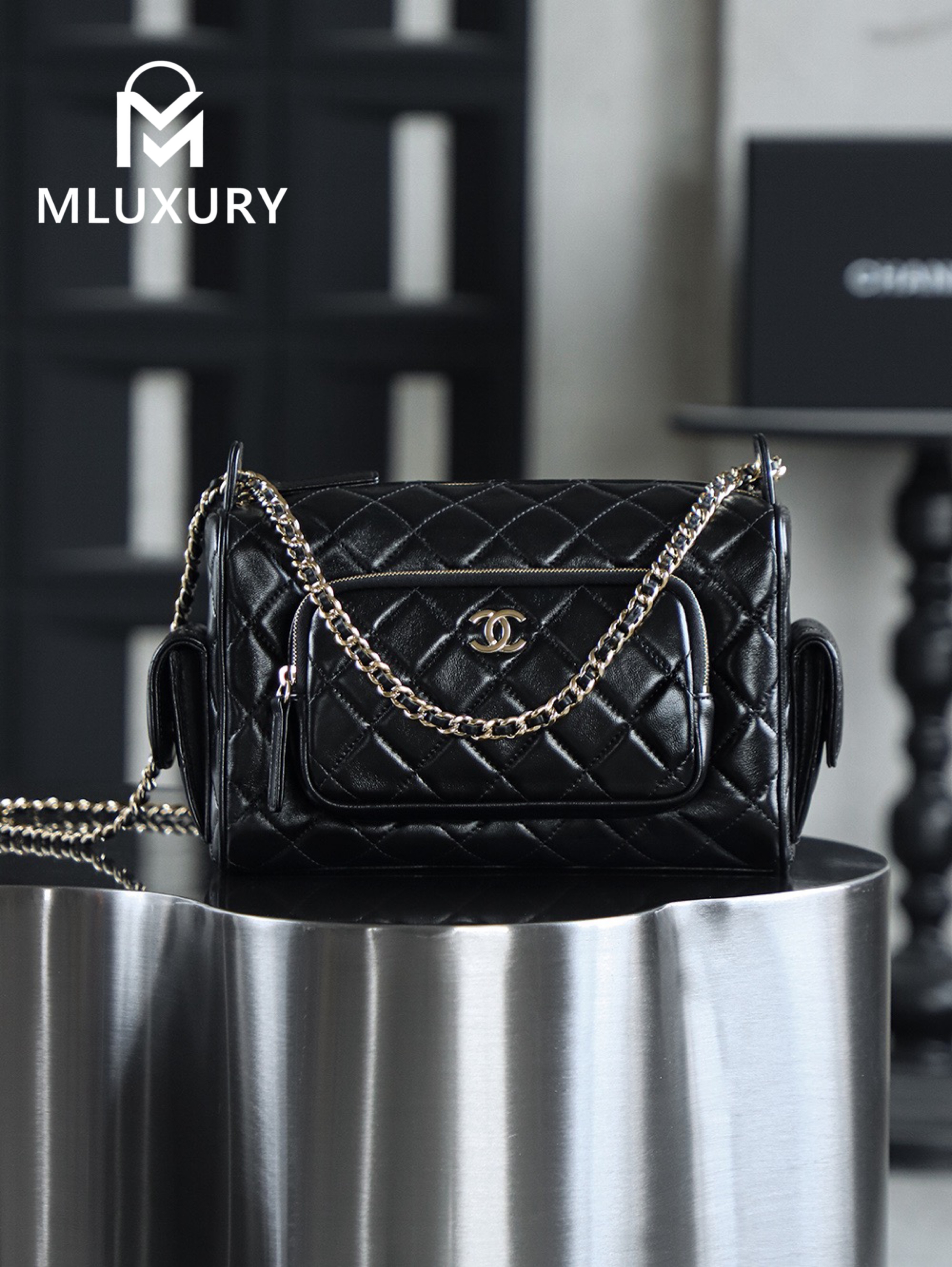 CHANEL 24K Camera Bag (Large)