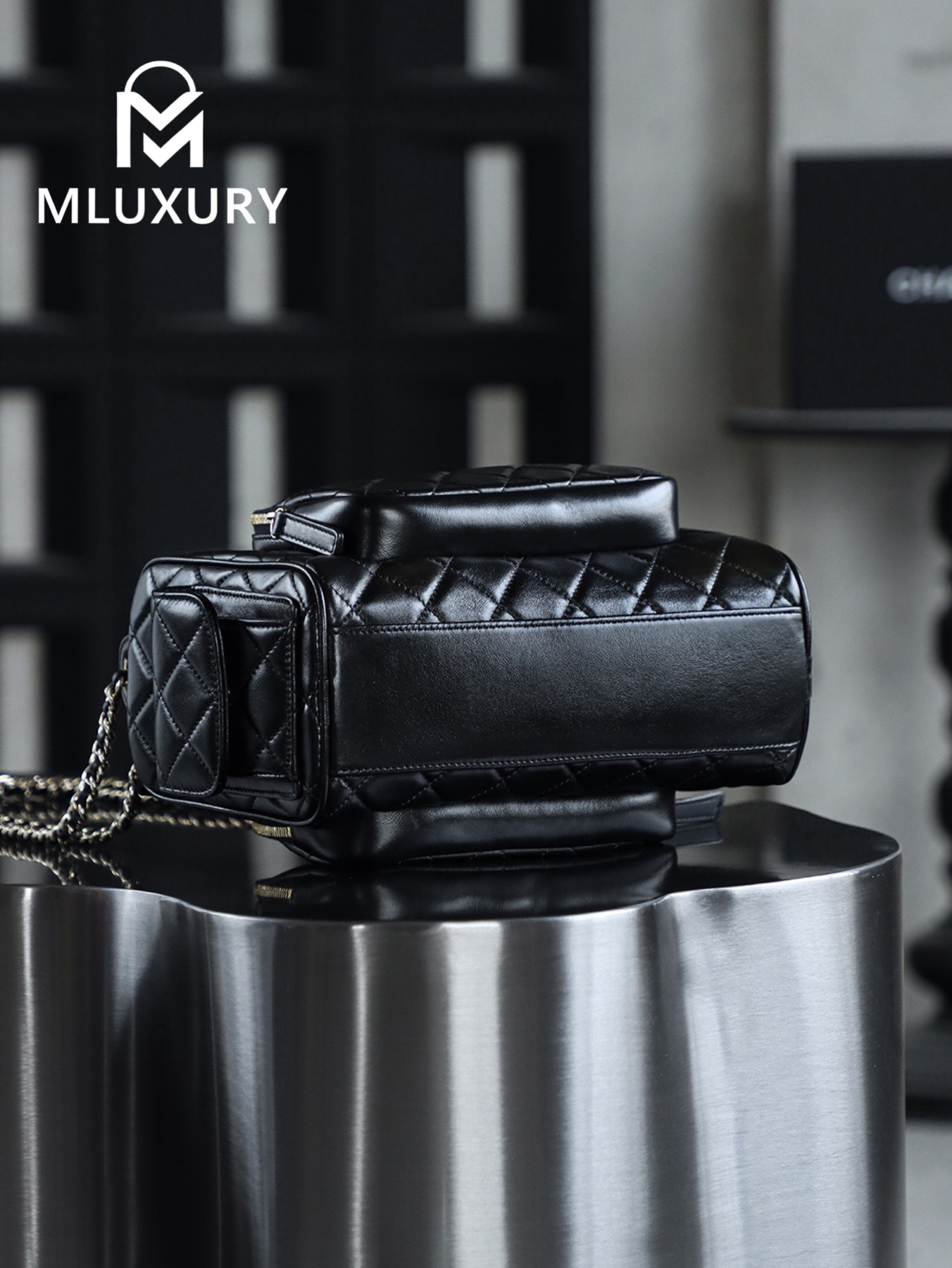 CHANEL 24K Camera Bag (Large)