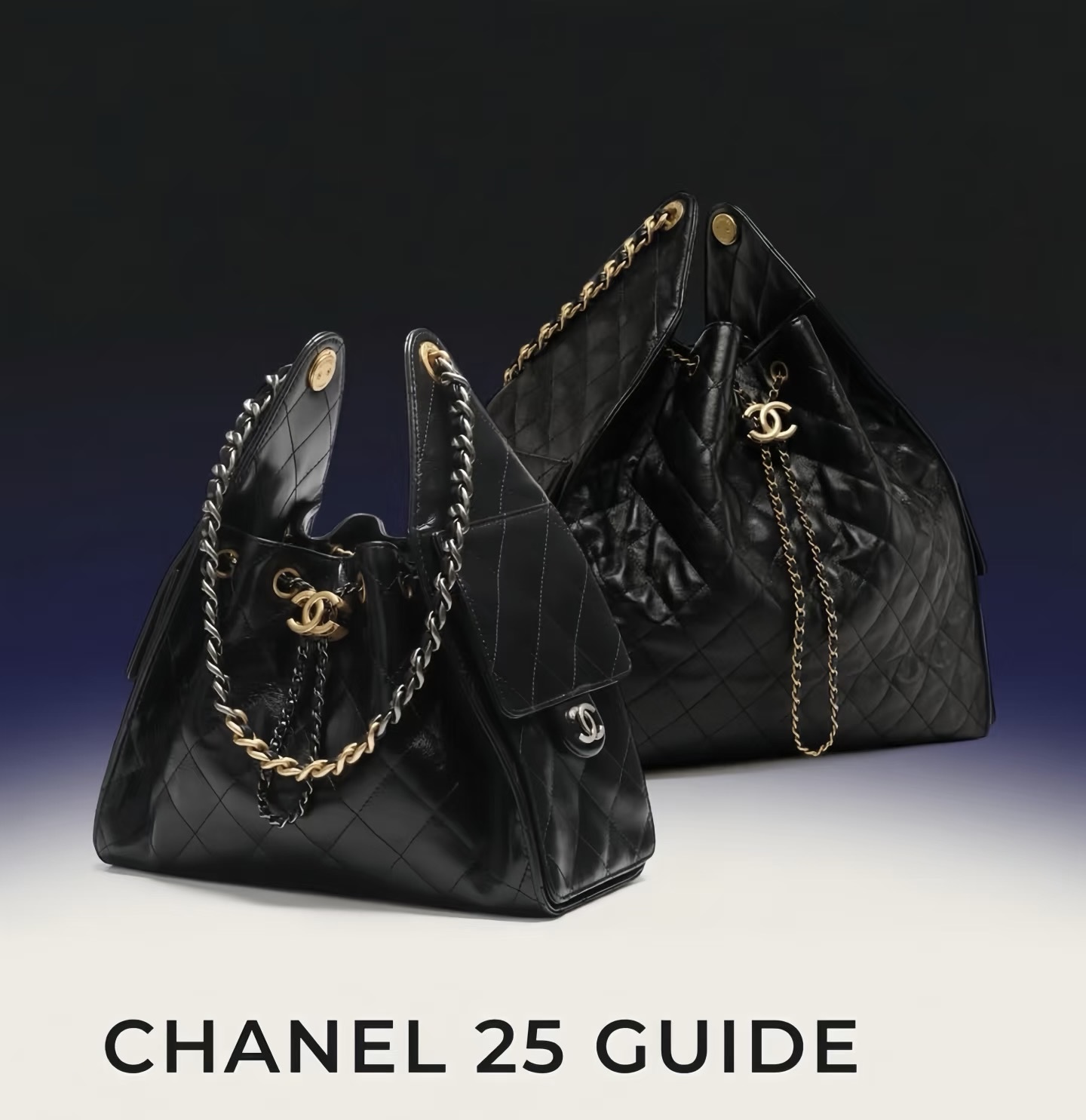 CHANEL BAGS