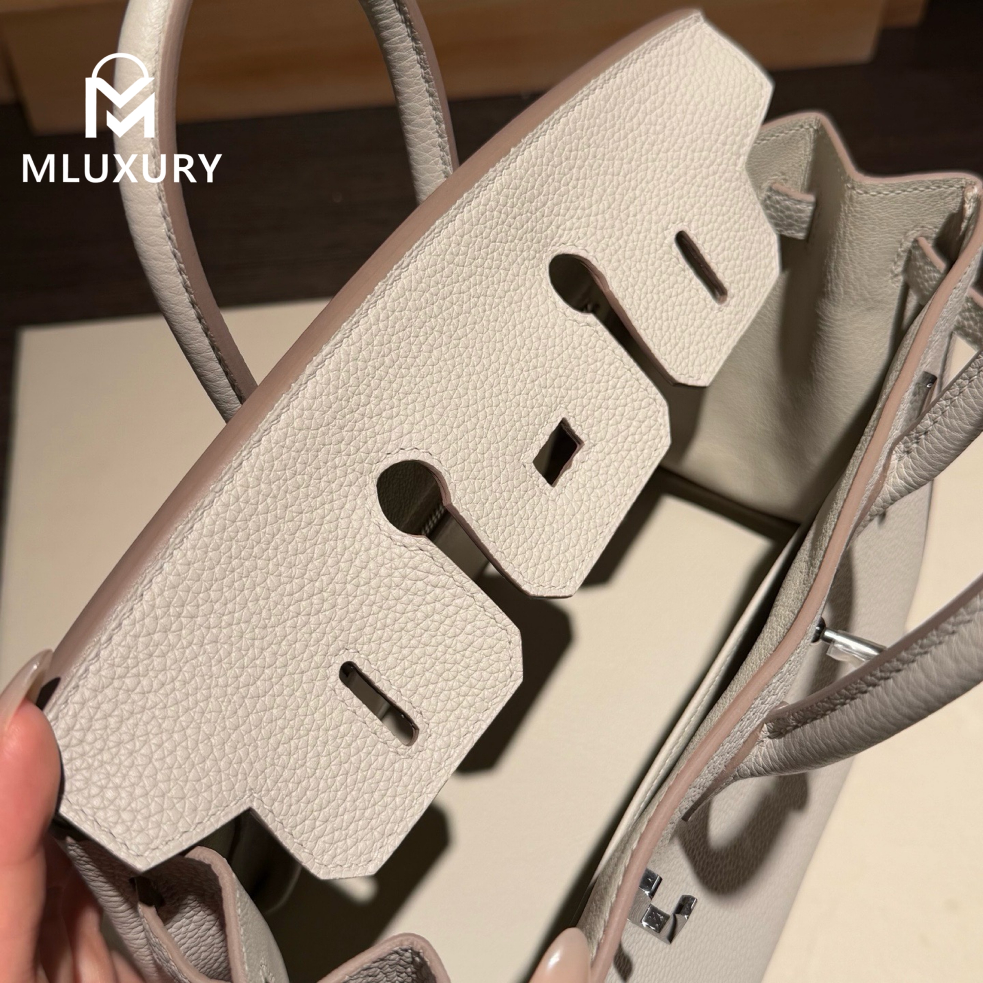 Hermès Birkin 25 Genuine Togo Leather, Glacier White, Silver Hardware