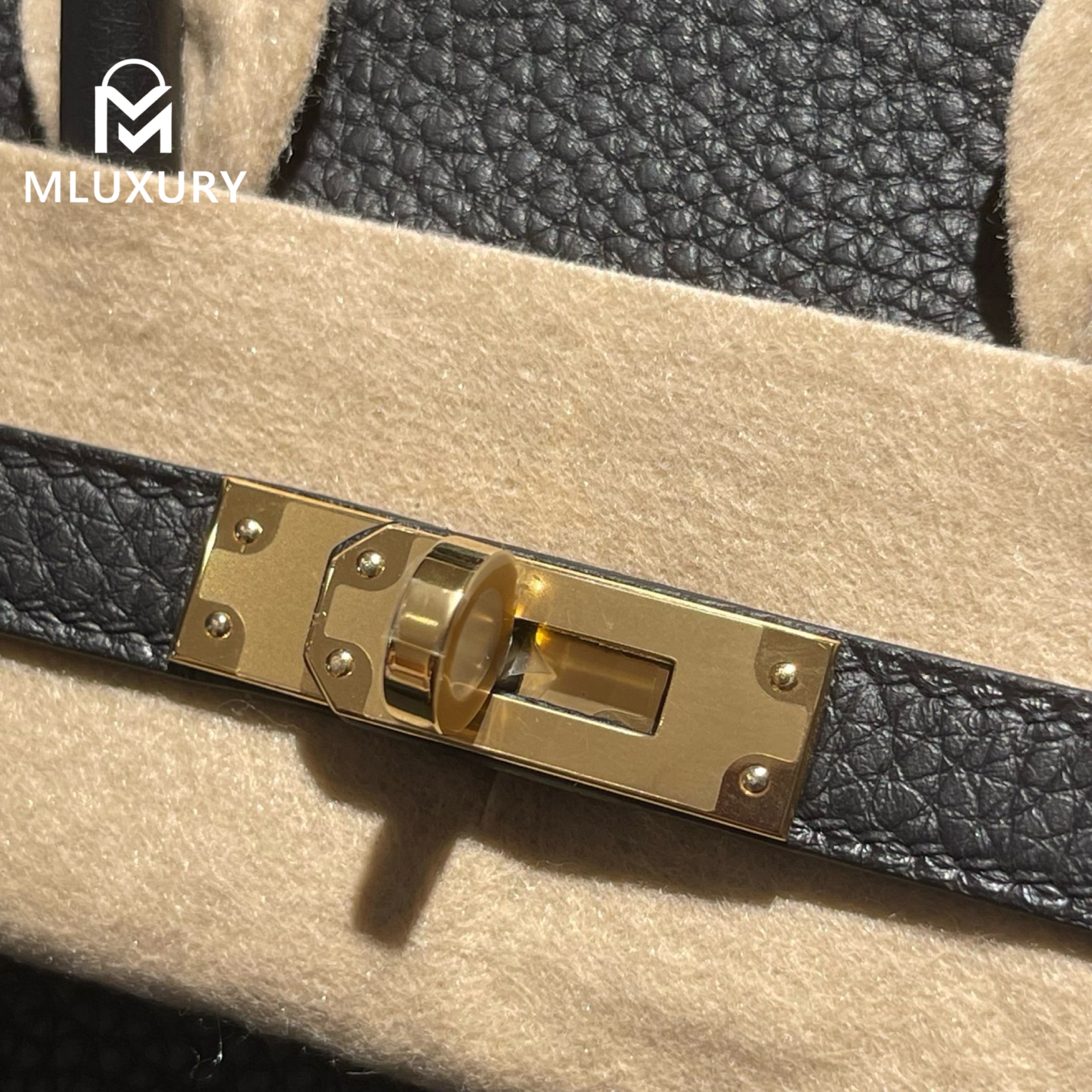Hermès Birkin 25, Weinheimer, Germany, Hammer leather, genuine Togo leather, black with gold hardware