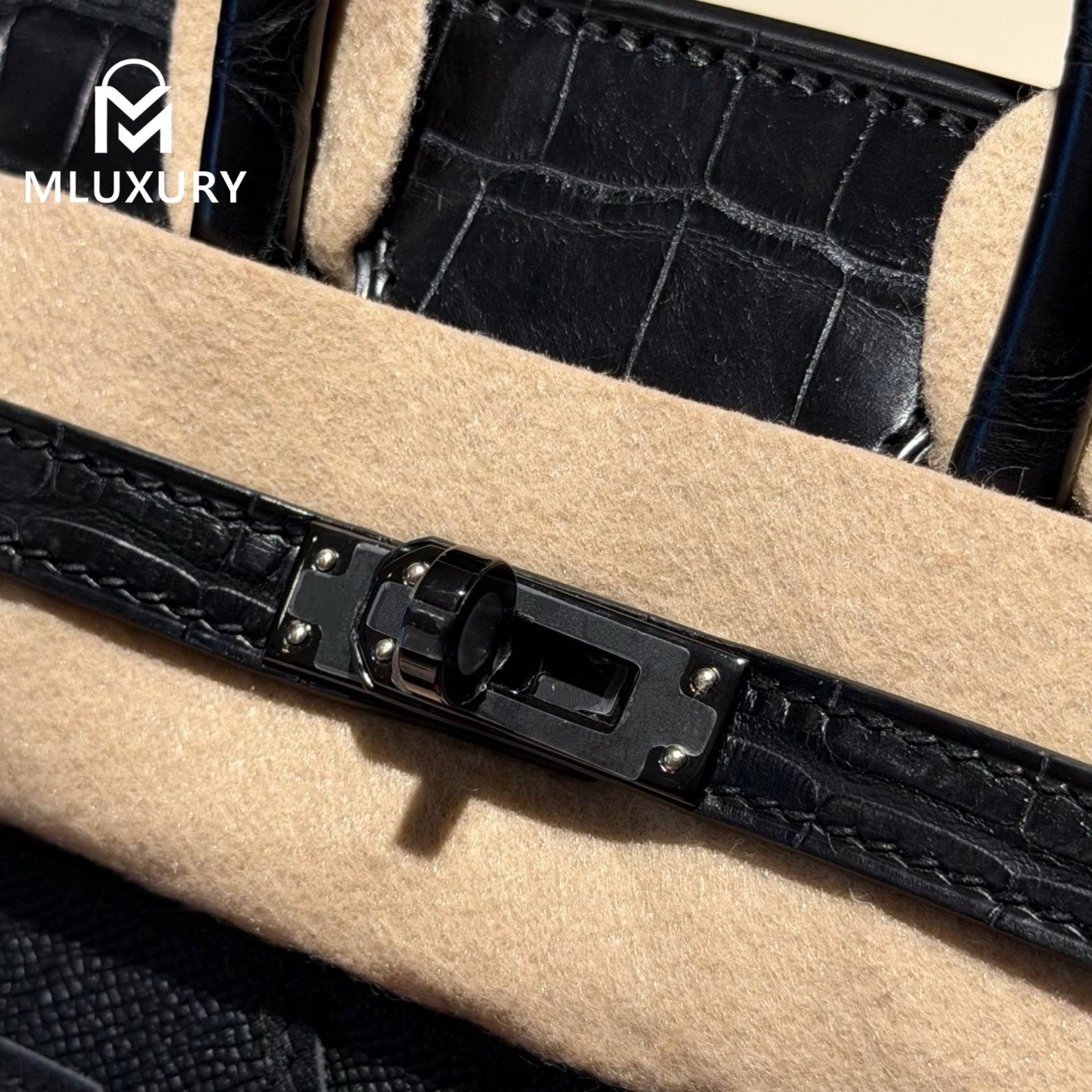 Hermès Birkin 20, Matte Alligator, Midnight House, Black Buckle