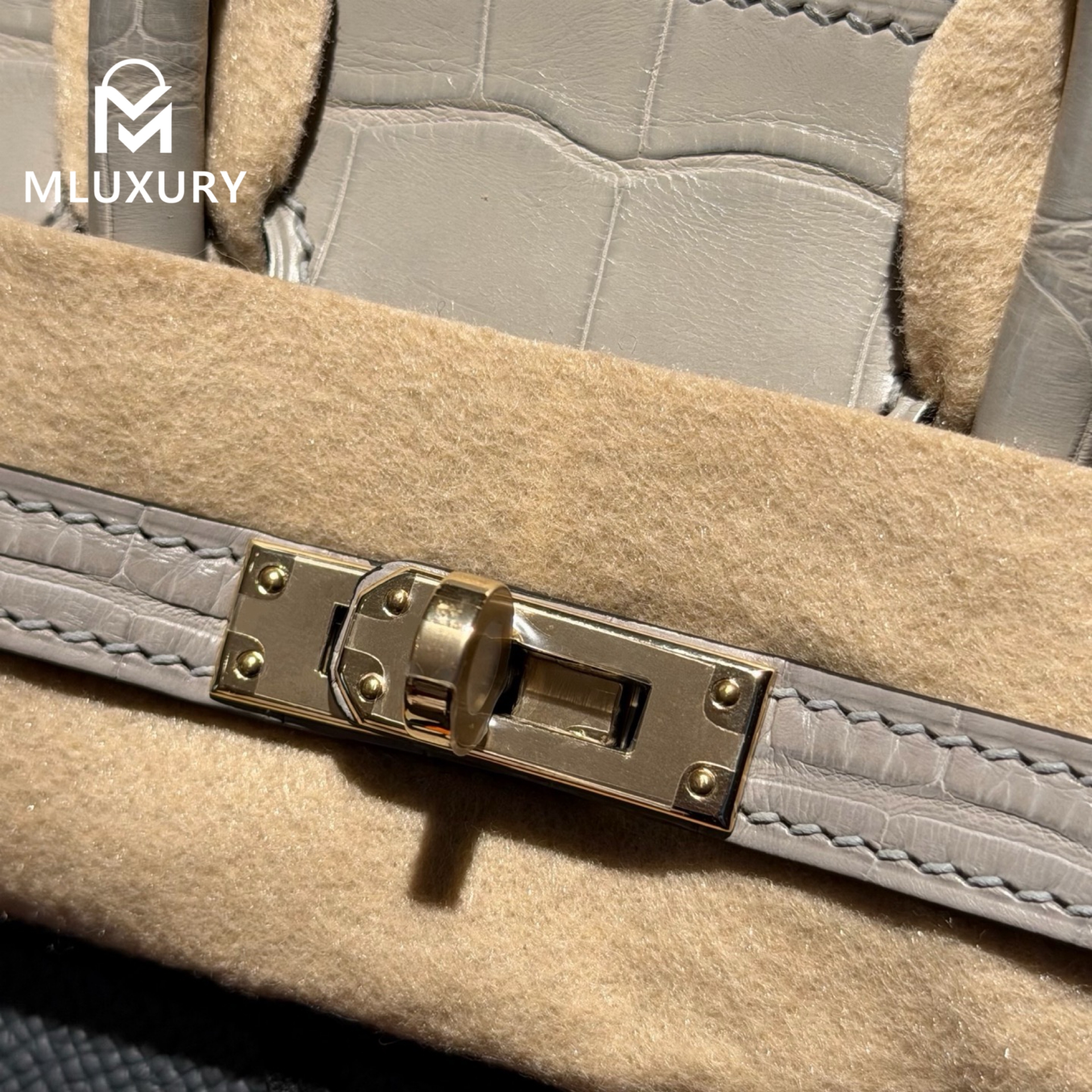 Hermès Birkin 20, Matte crocodile pattern, Grey house design, Light gold hardware