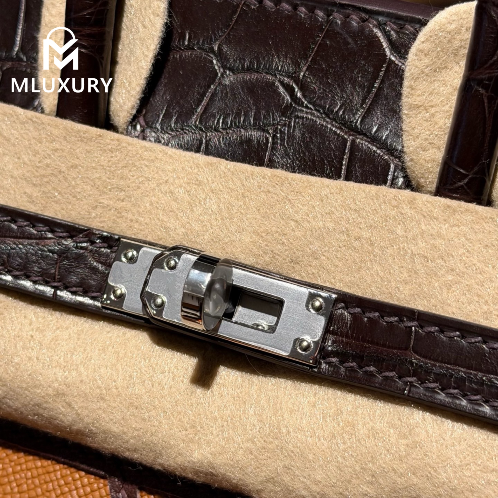 Hermès Birkin 20, Matte crocodile leather, Gold-brown daytime miniature house, Silver hardware
