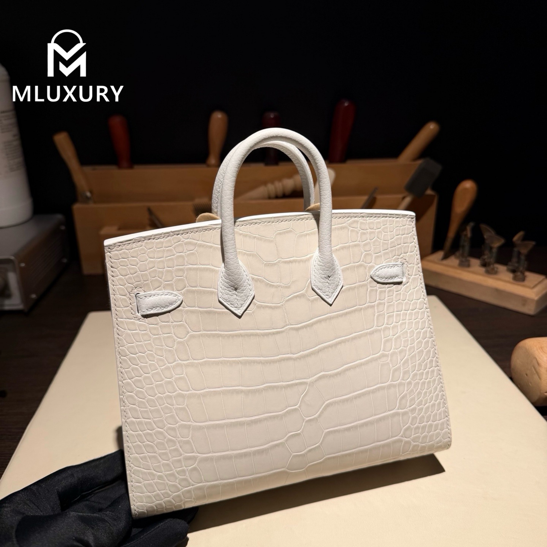 Hermès Birkin 20 matte crocodile leather, White House in First Snow, silver hardware