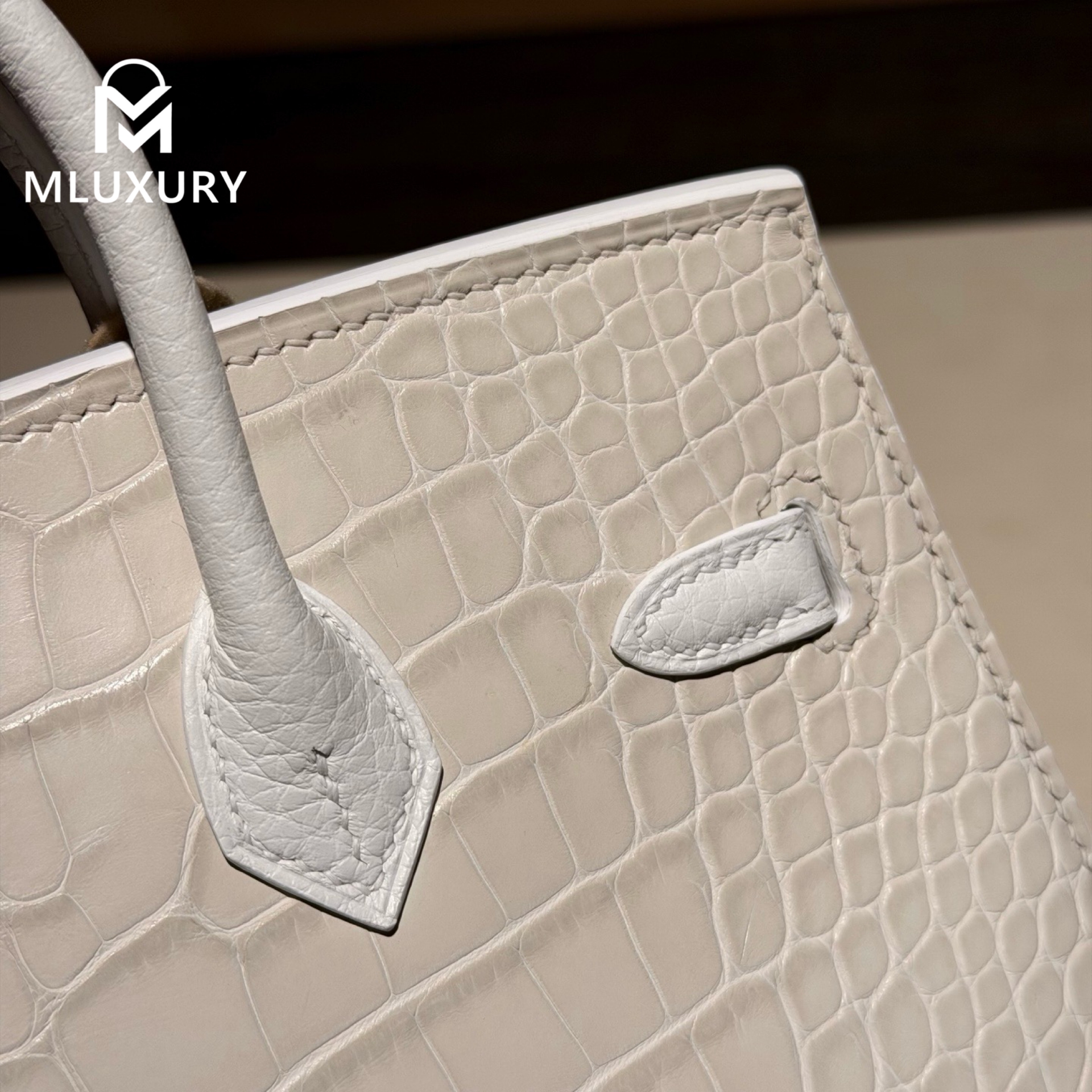 Hermès Birkin 20 matte crocodile leather, White House in First Snow, silver hardware