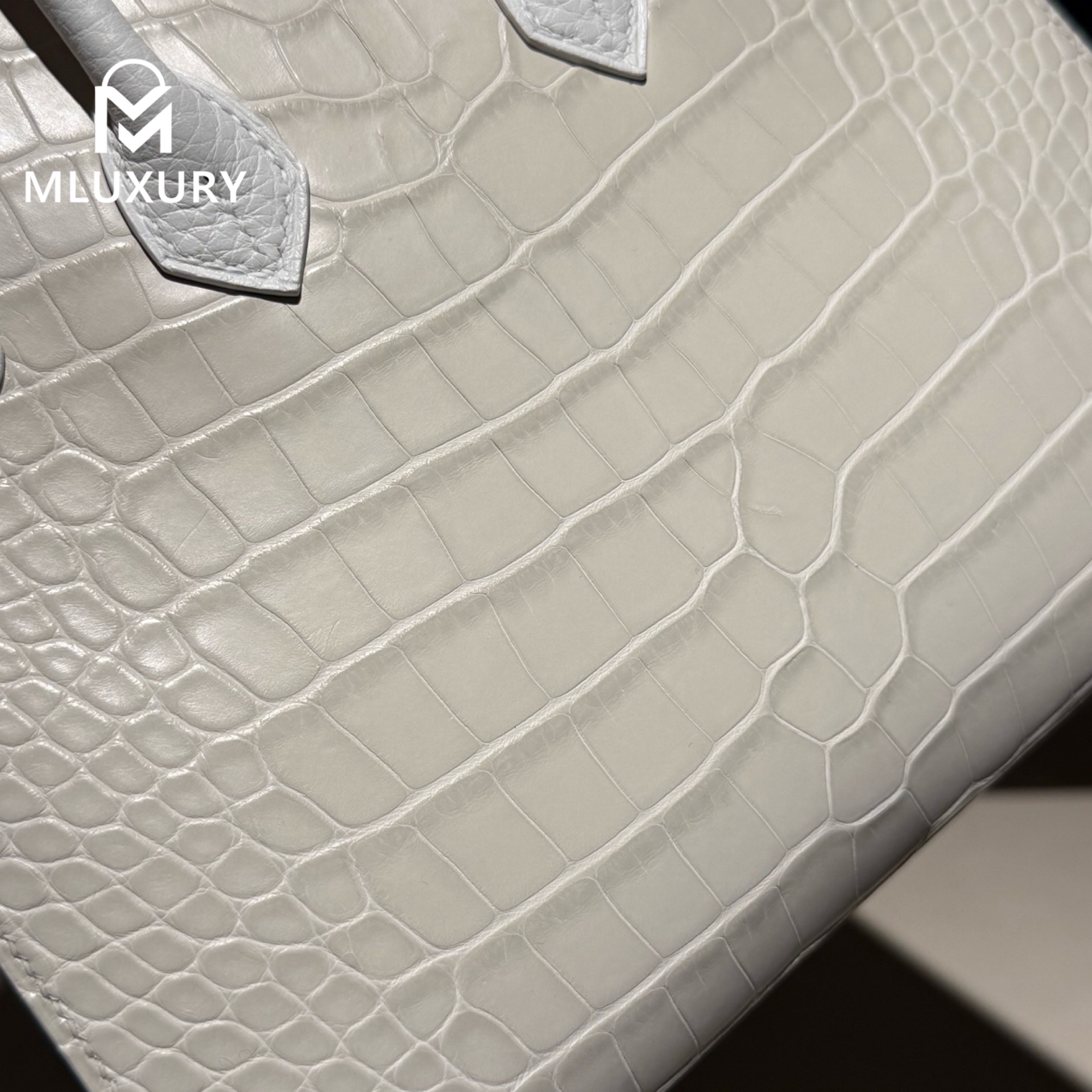 Hermès Birkin 20 matte crocodile leather, White House in First Snow, silver hardware