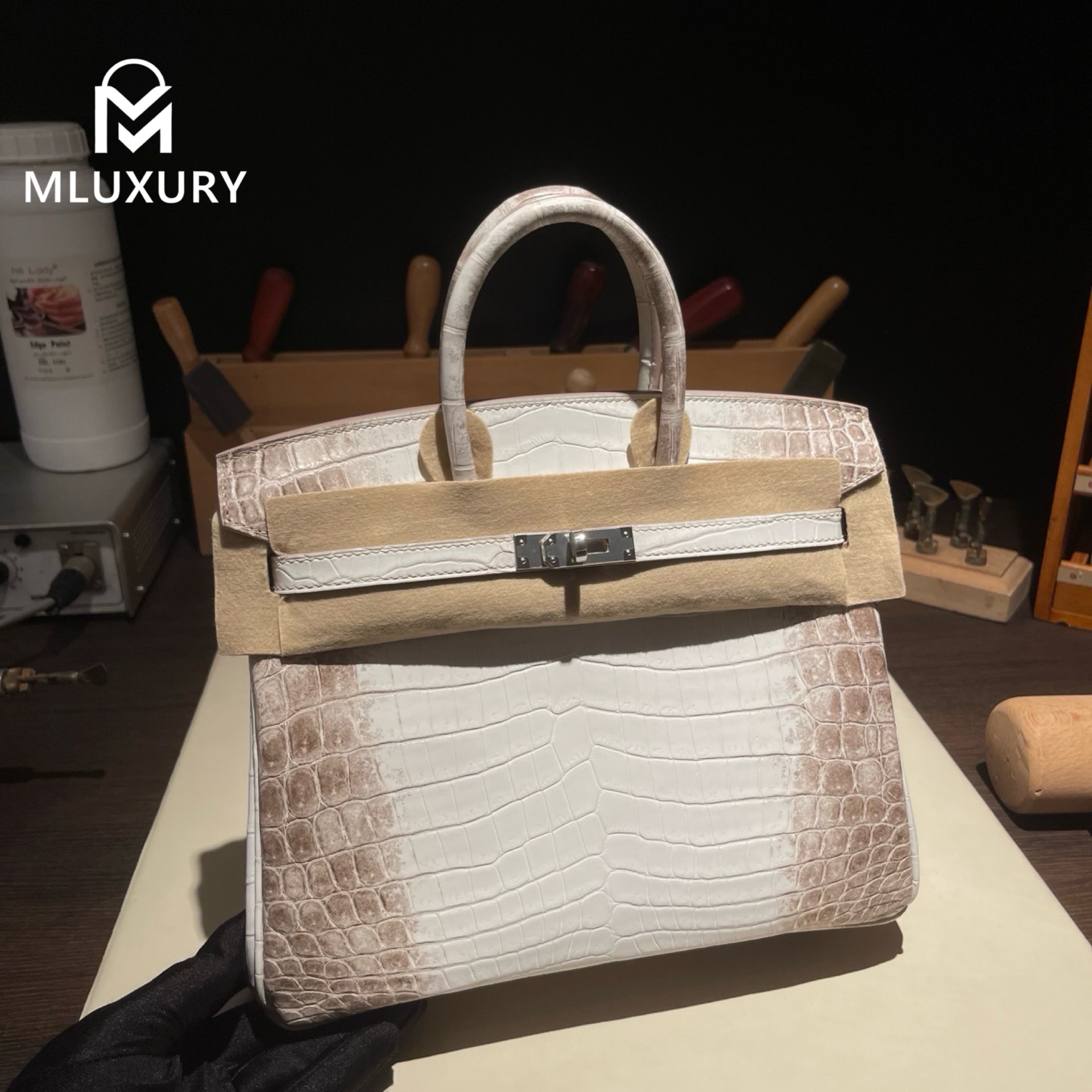 Hermès Birkin 25 Himalaya