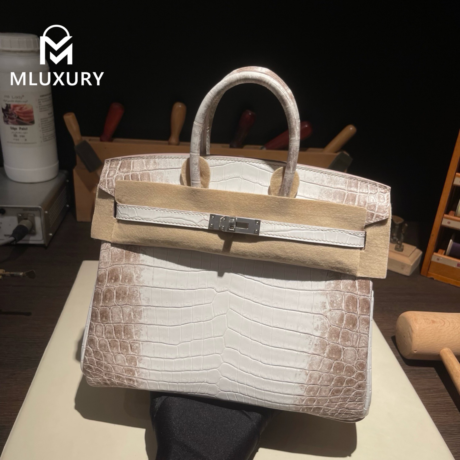 Hermès Birkin 25 Himalaya