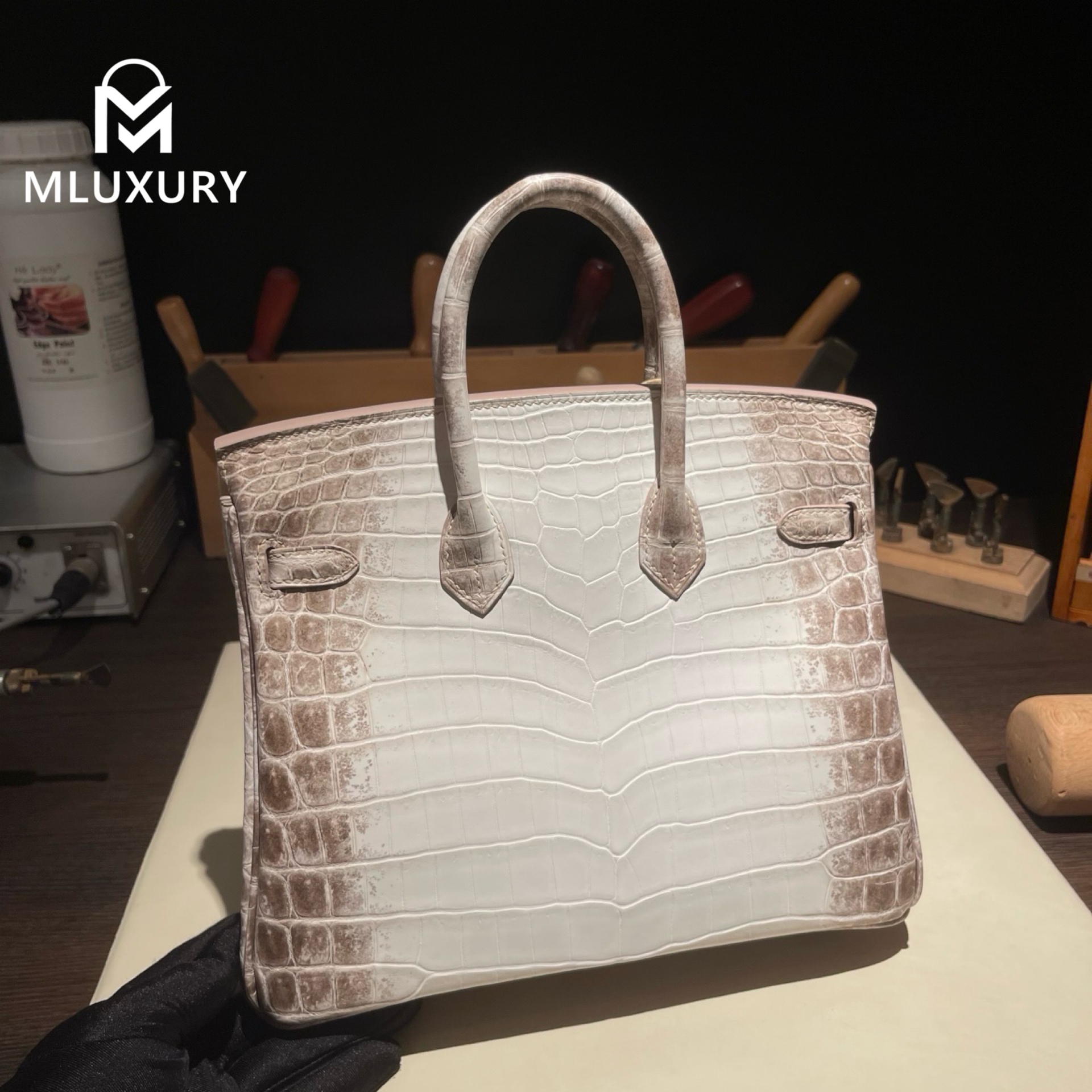 Hermès Birkin 25 Himalaya