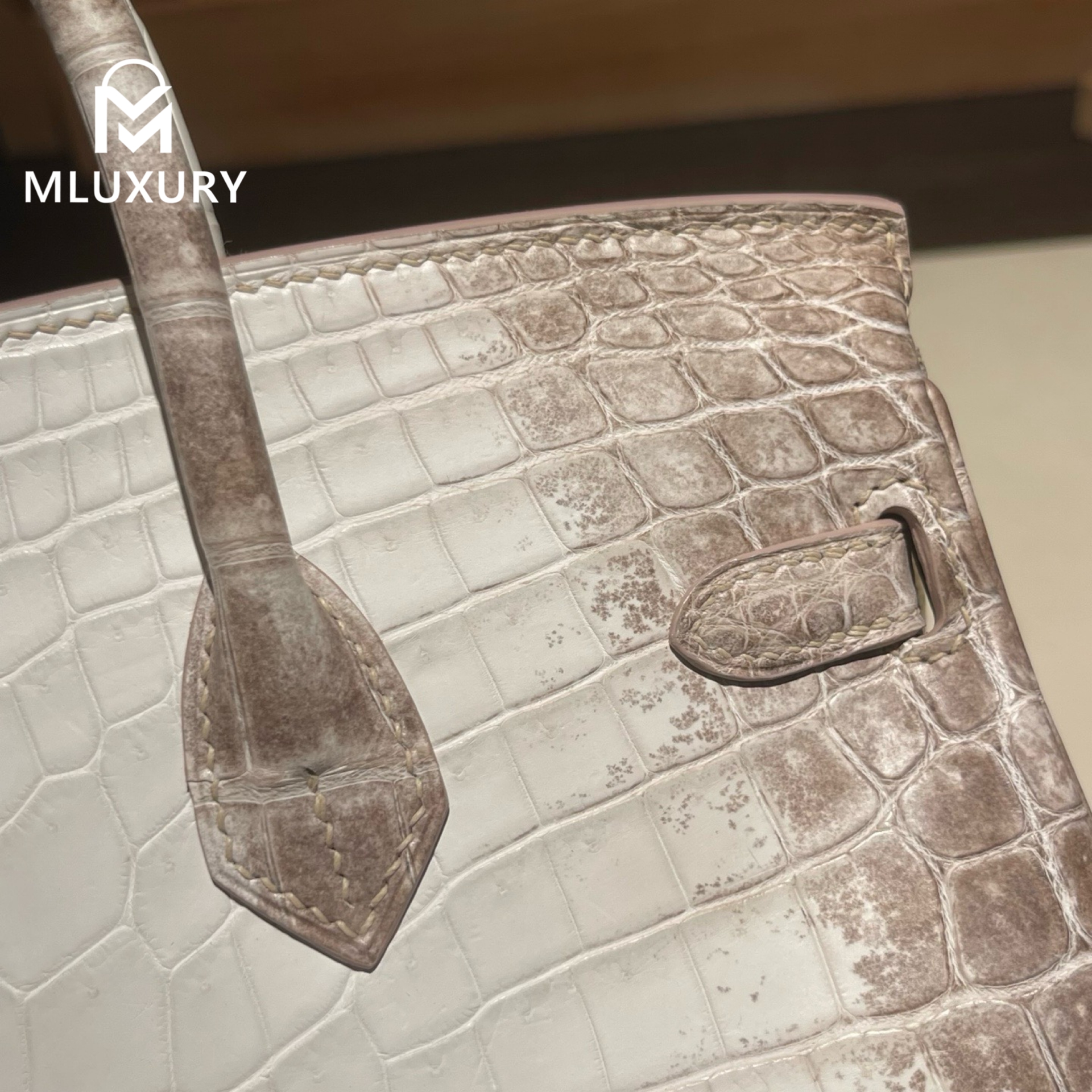 Hermès Birkin 25 Himalaya
