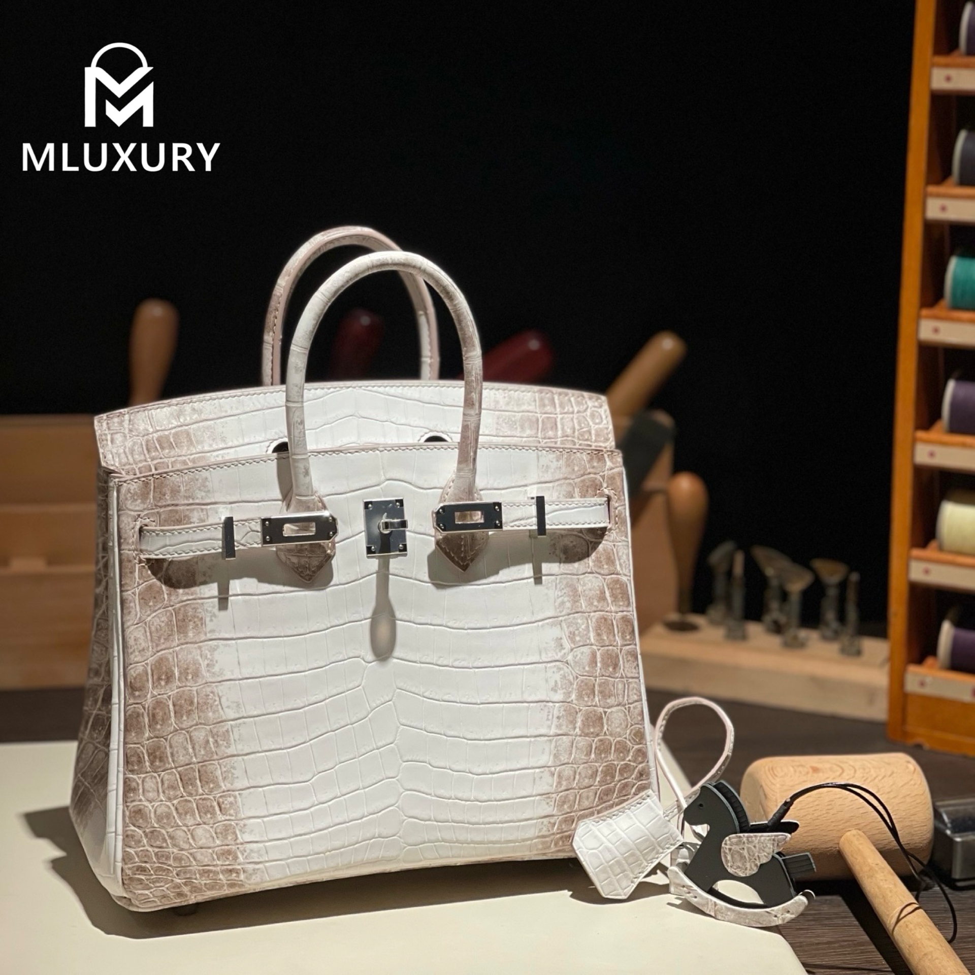 Hermès Birkin 25 Himalaya