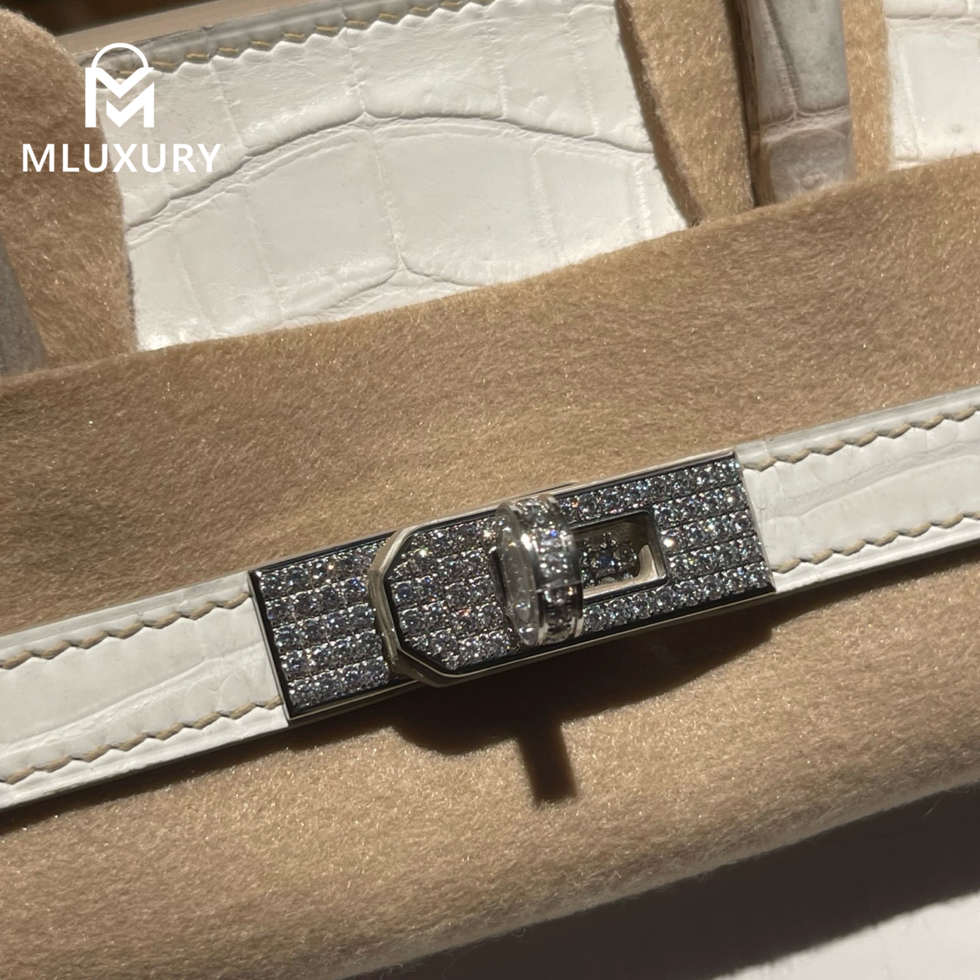 Hermès Birkin 25 American Crocodile Himalayan Silver Buckle Fully Diamonded