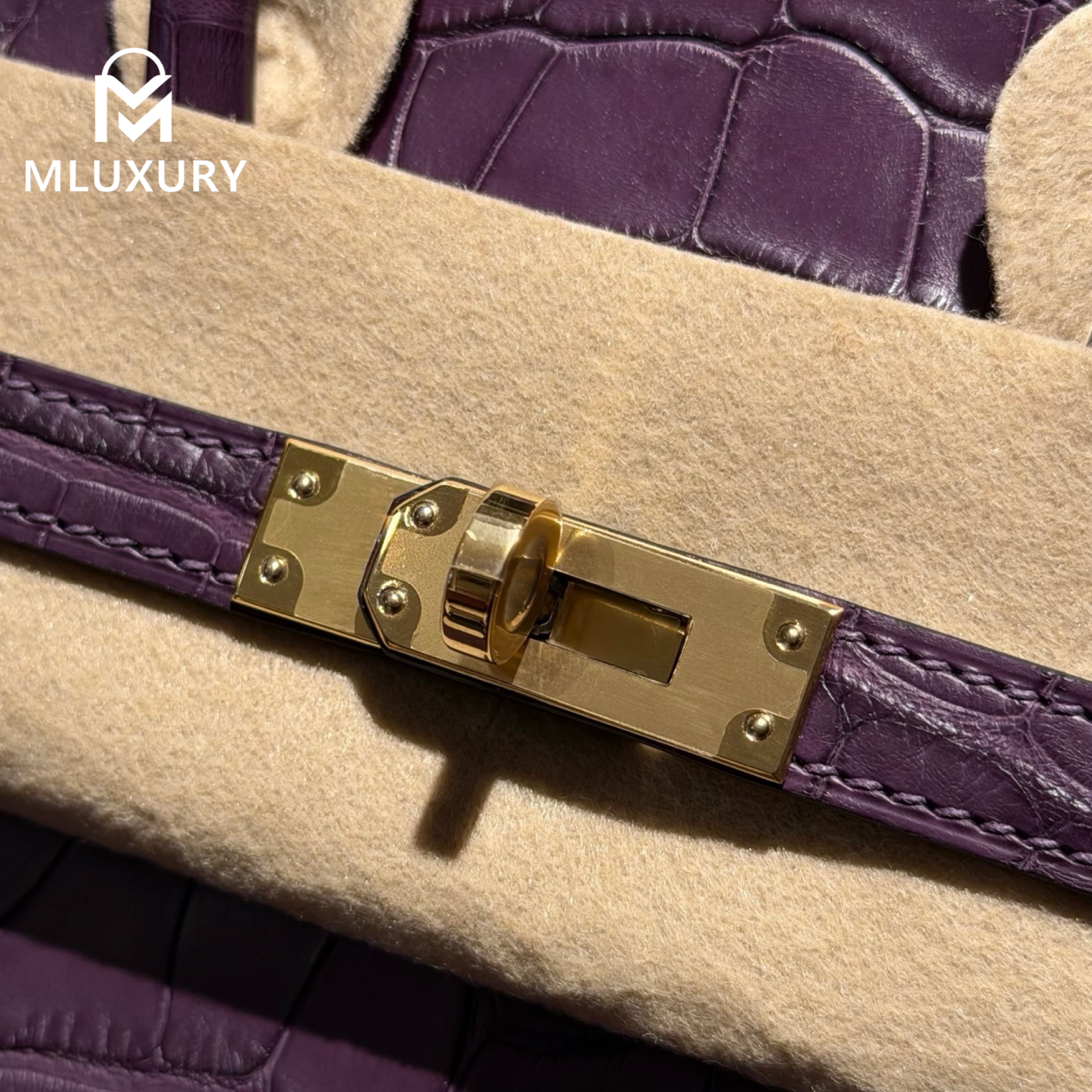 Hermès Birkin 25, Matte crocodile leather, Grape purple, Gold hardware
