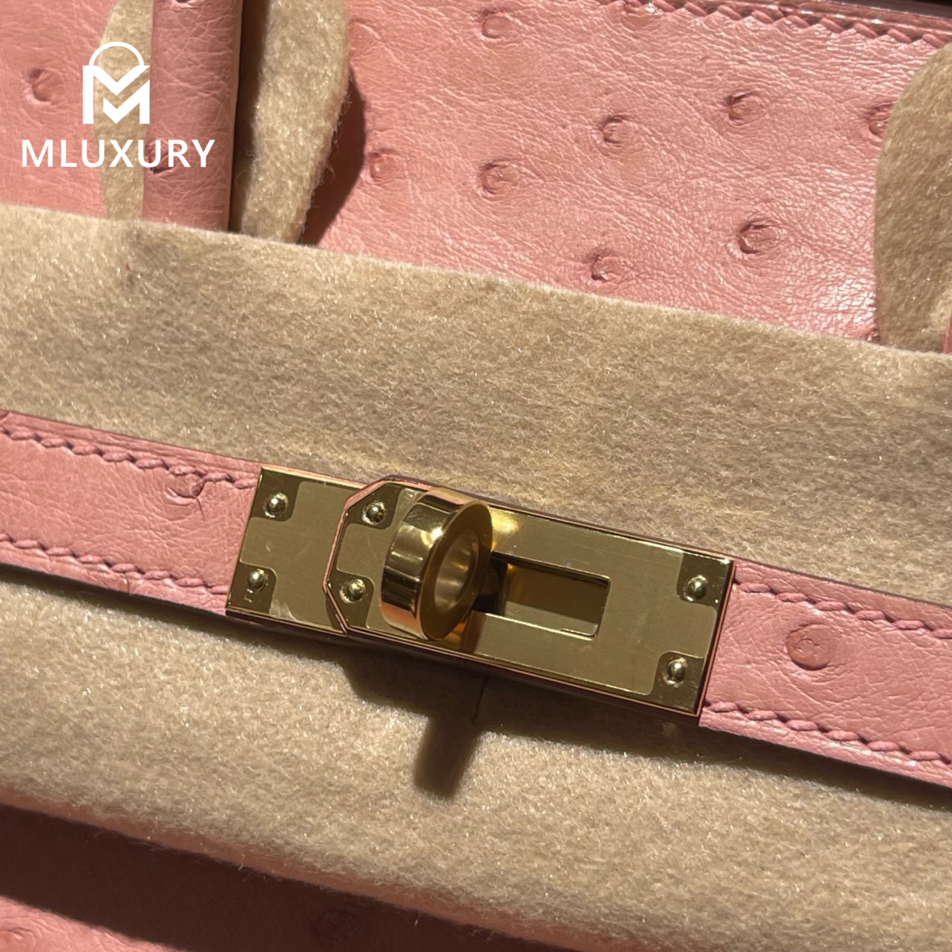 Hermès Birkin 25, Ostrich Leather, Ceramic Pink, Gold Hardware