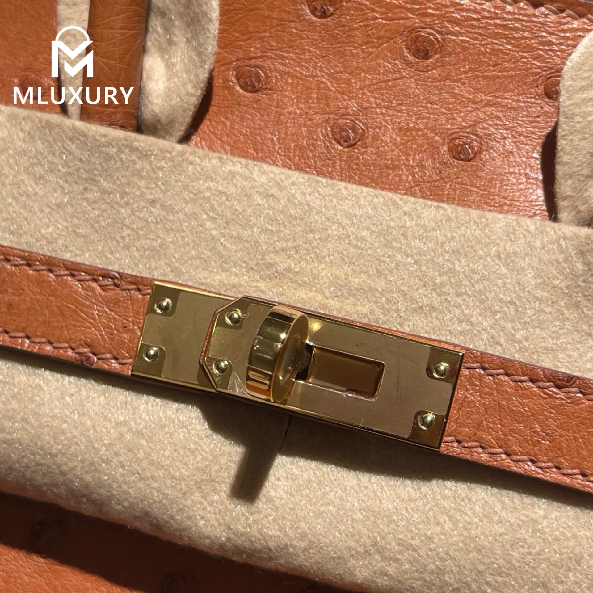 Hermès Birkin 25, Ostrich Leather, Golden Brown, Gold Hardware
