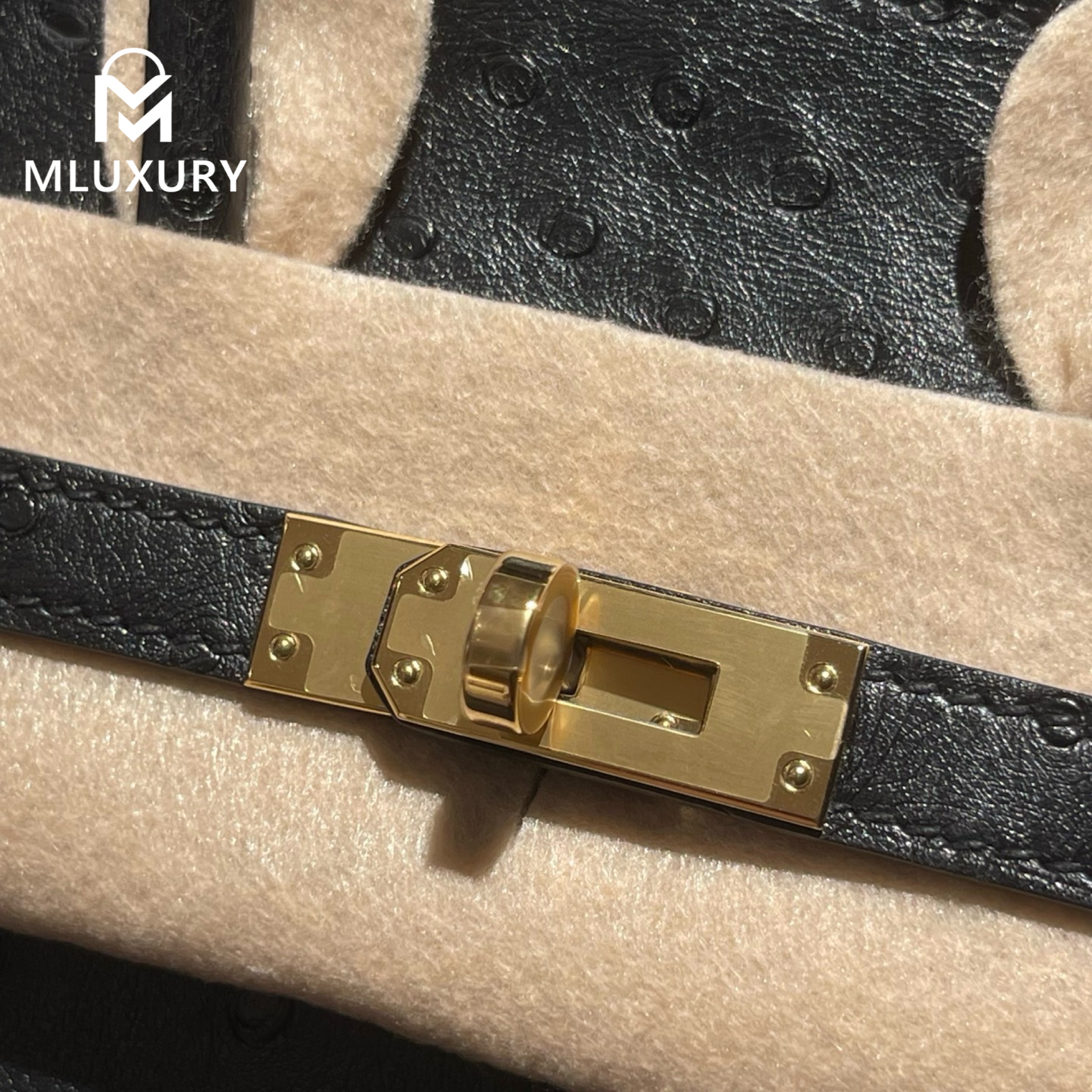 Hermès Birkin 25, Ostrich Leather, Black, Gold Hardware