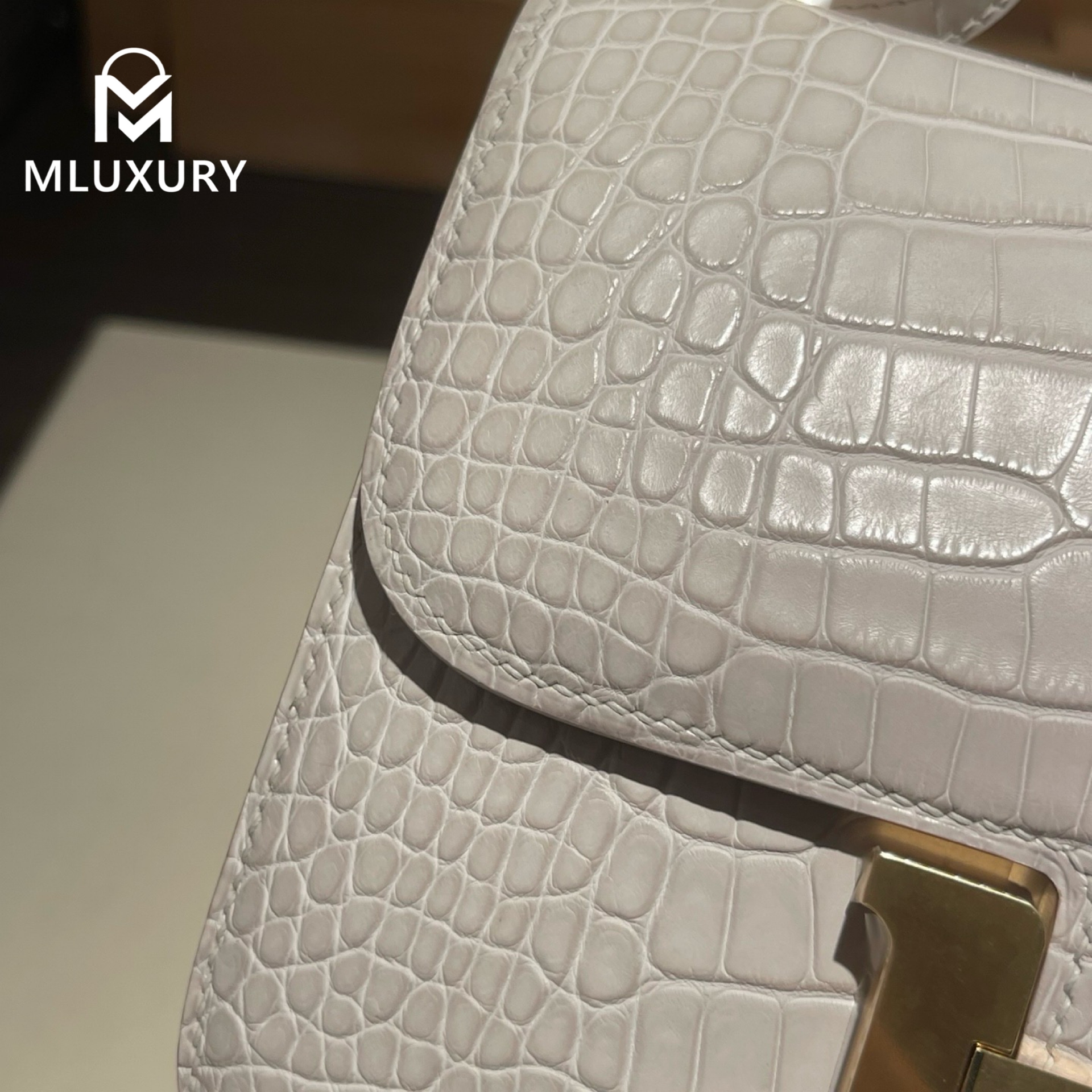 Hermès Constance 19, the new flight attendant style with mirrors, Matte American crocodile finish, Glacial white, Gold hardware