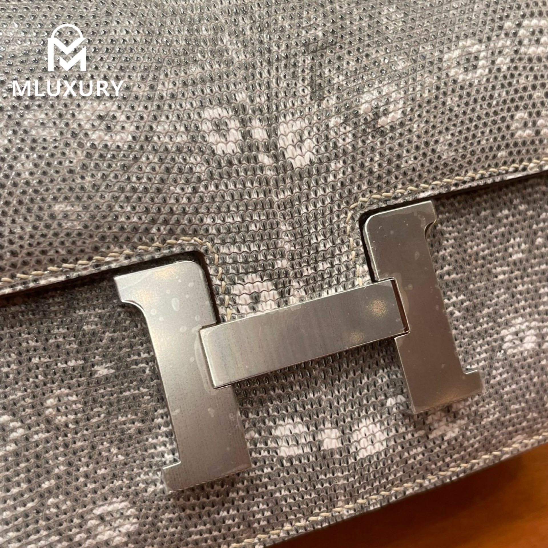 Hermès Constance 19, lizard skin, 1B original color lizard, silver hardware