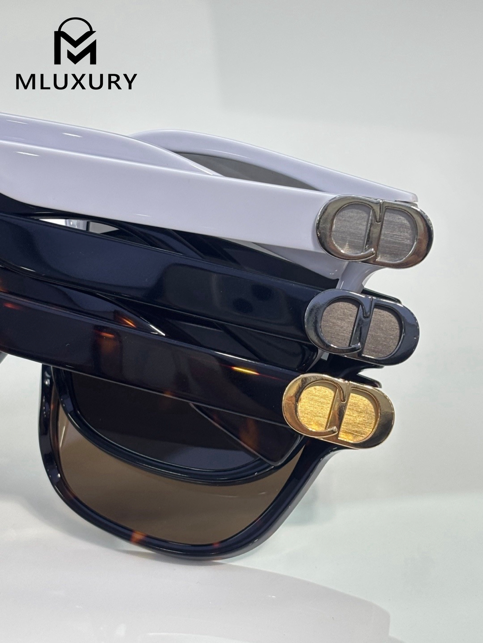 DiorCD Icon S1F