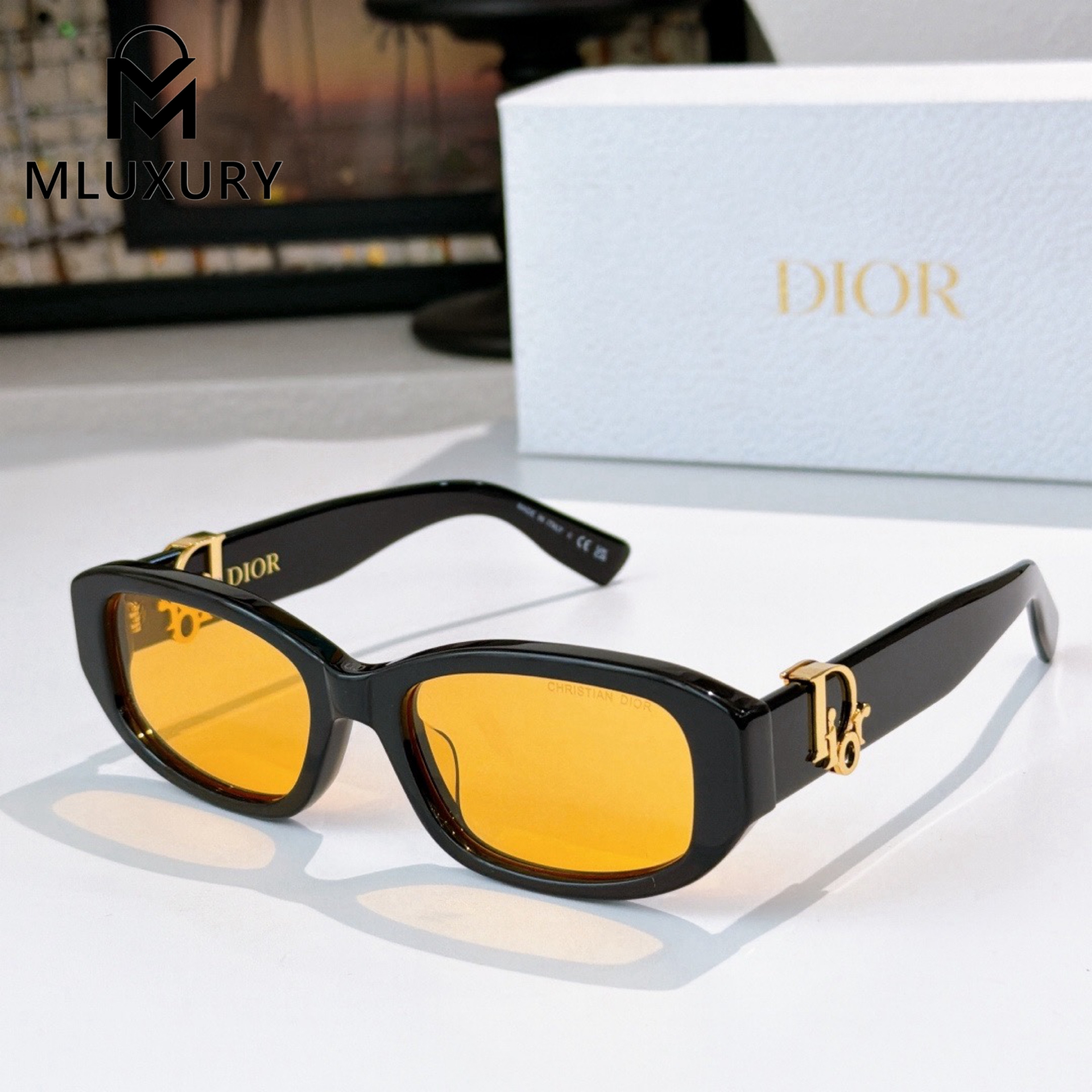 Dior Oblique R21