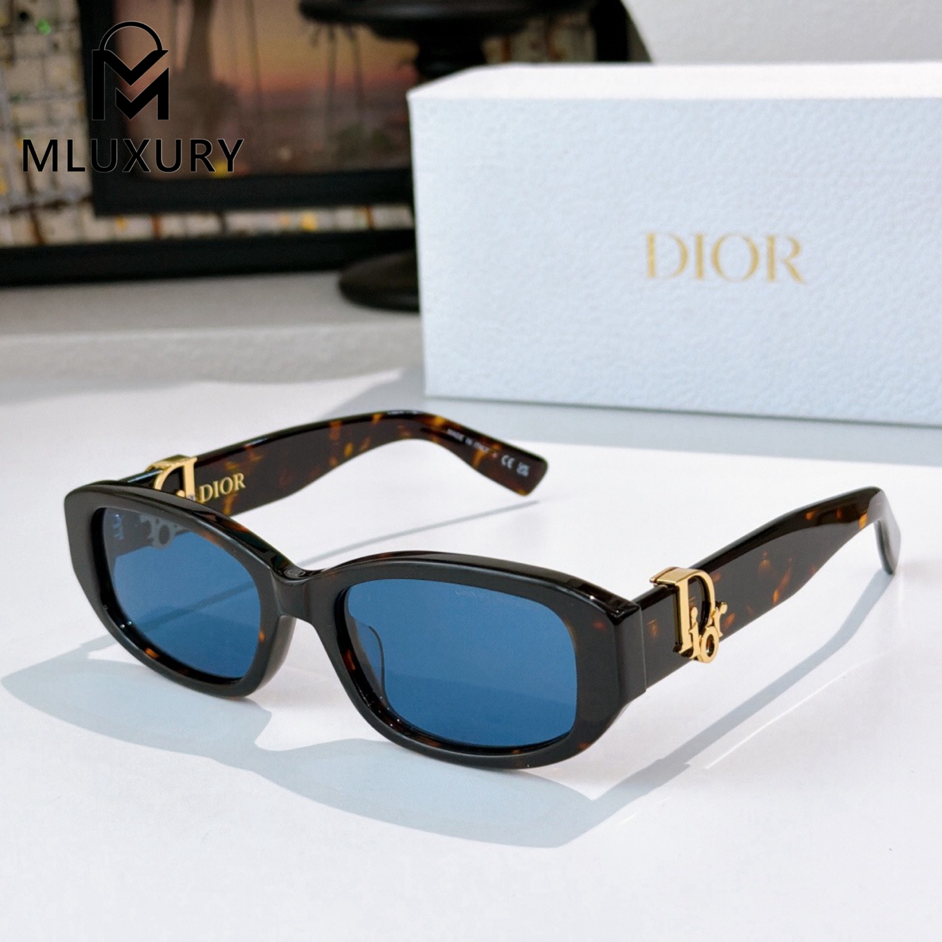 Dior Oblique R21