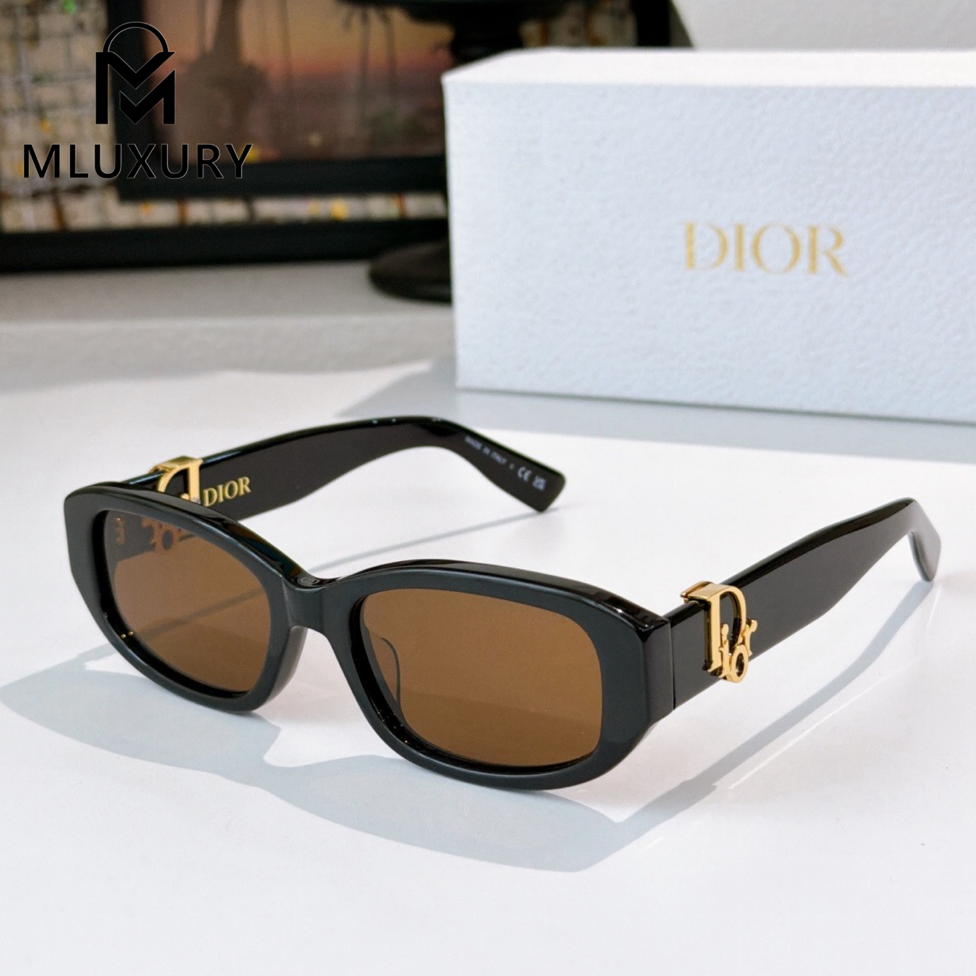 Dior Oblique R21