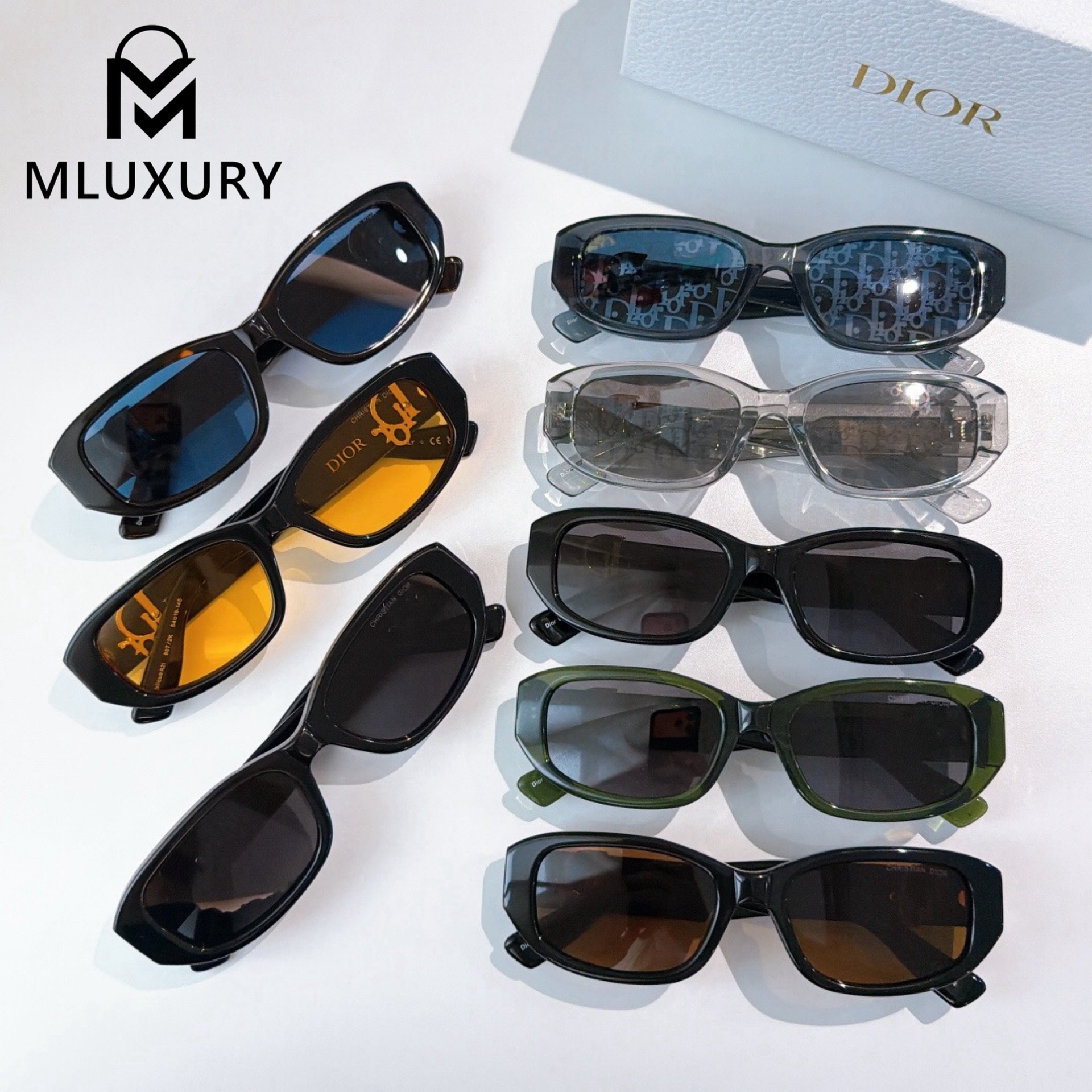 Dior Oblique R21