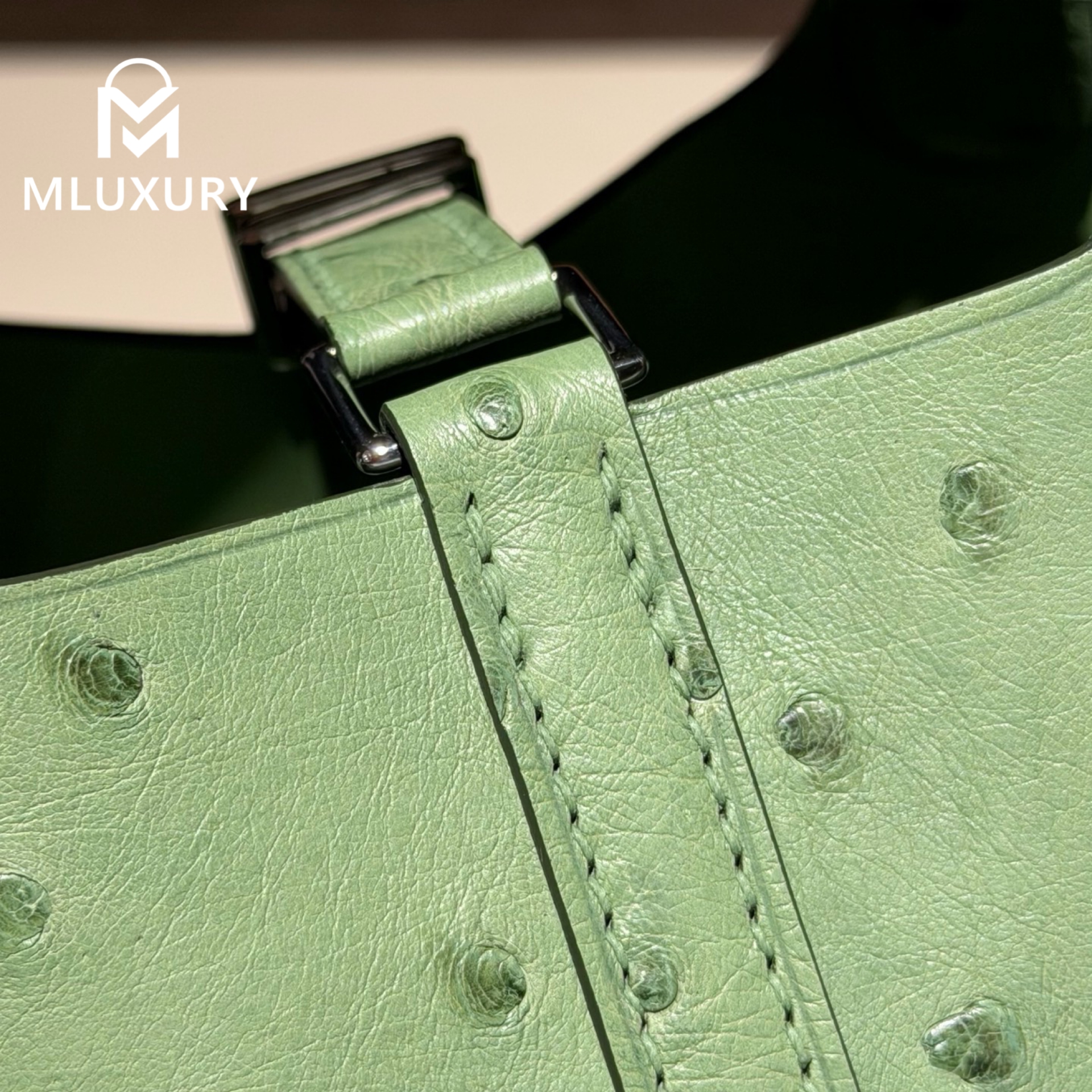 Hermès Picotin 14, ostrich leather, Avocado green, Silver hardware