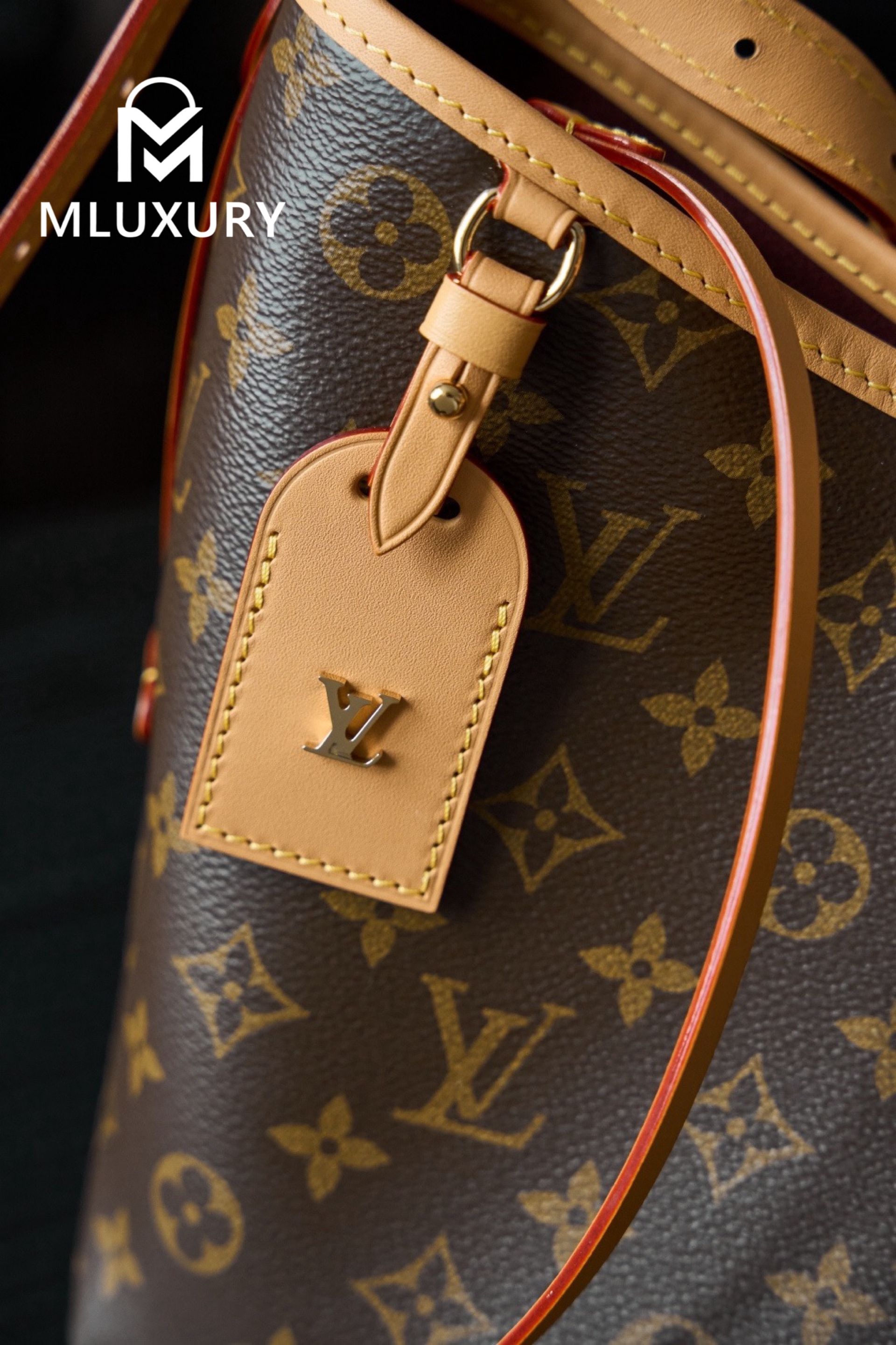 LOUIS VUITTON CARRYALL (small size)