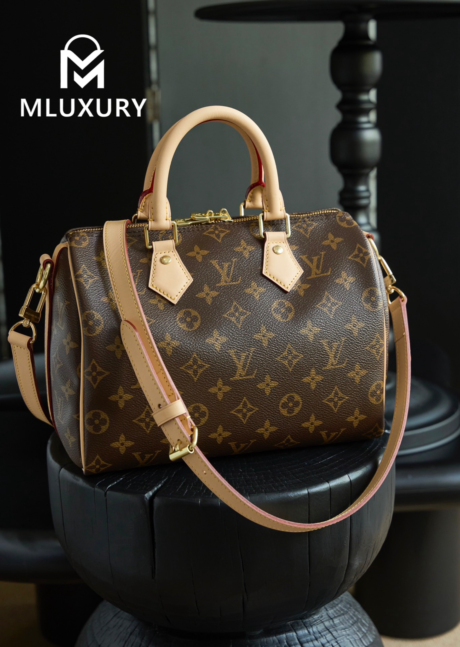 LOUIS VUITTON SPEEDY 25