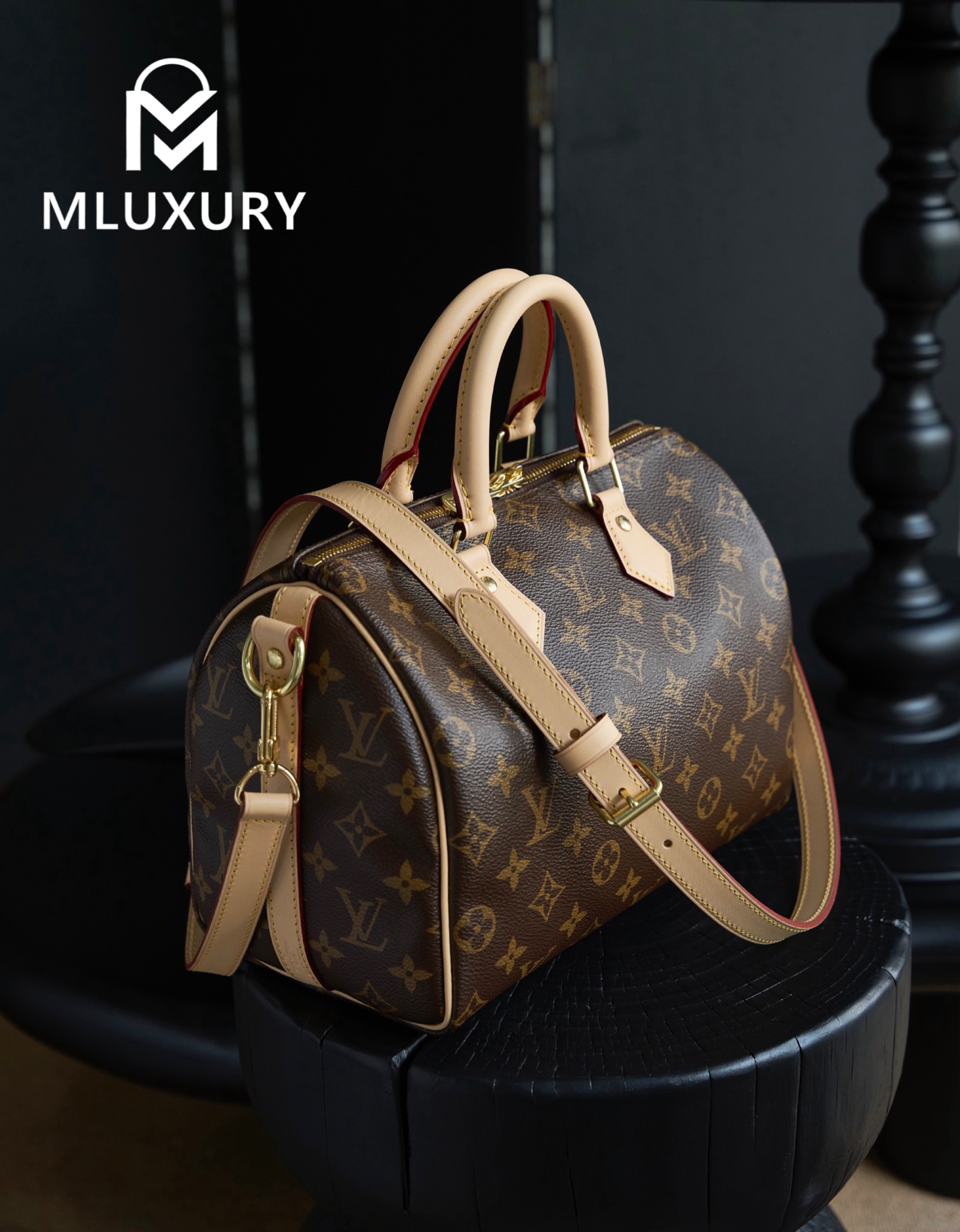 LOUIS VUITTON SPEEDY 25