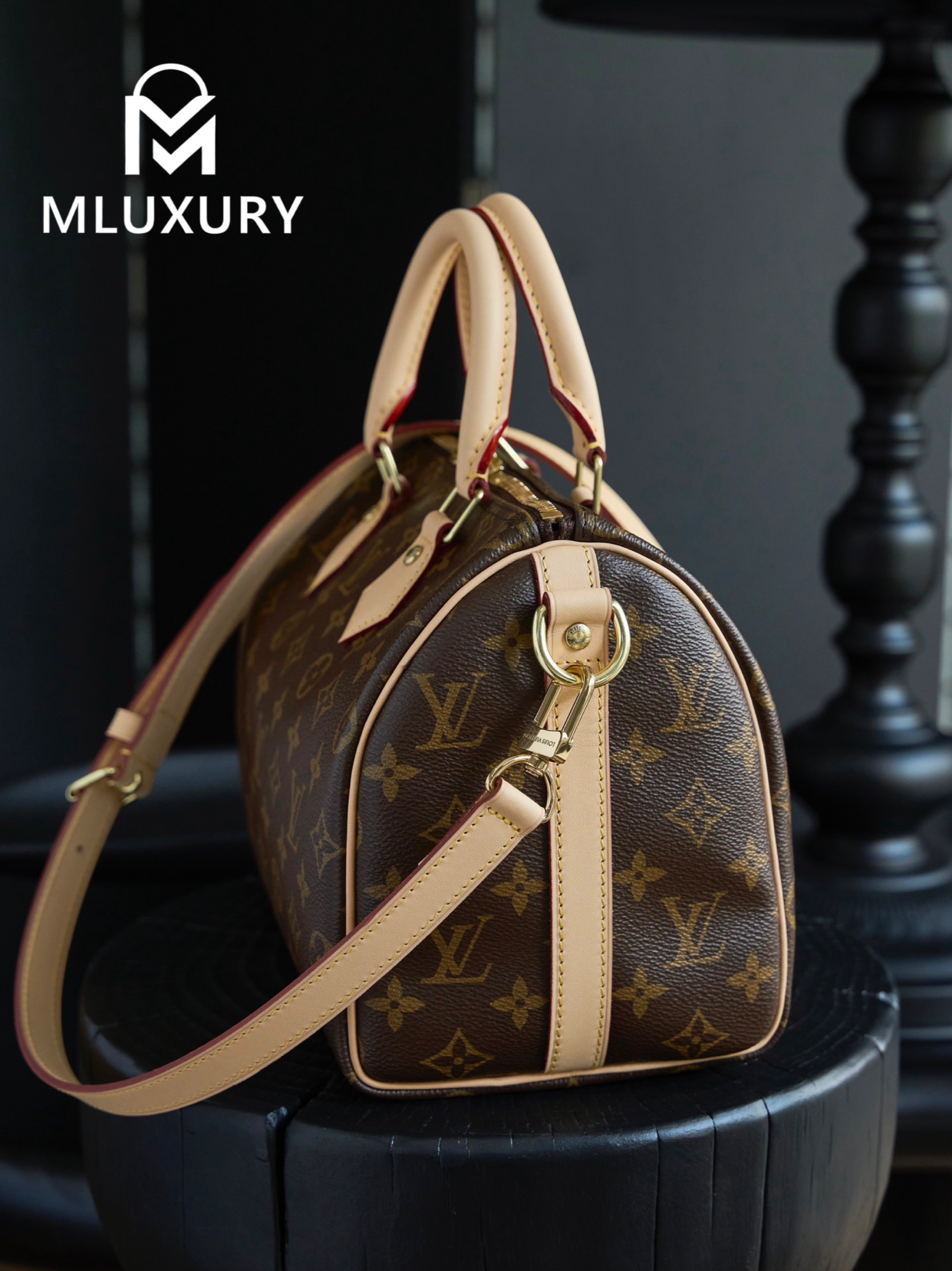 LOUIS VUITTON SPEEDY 25