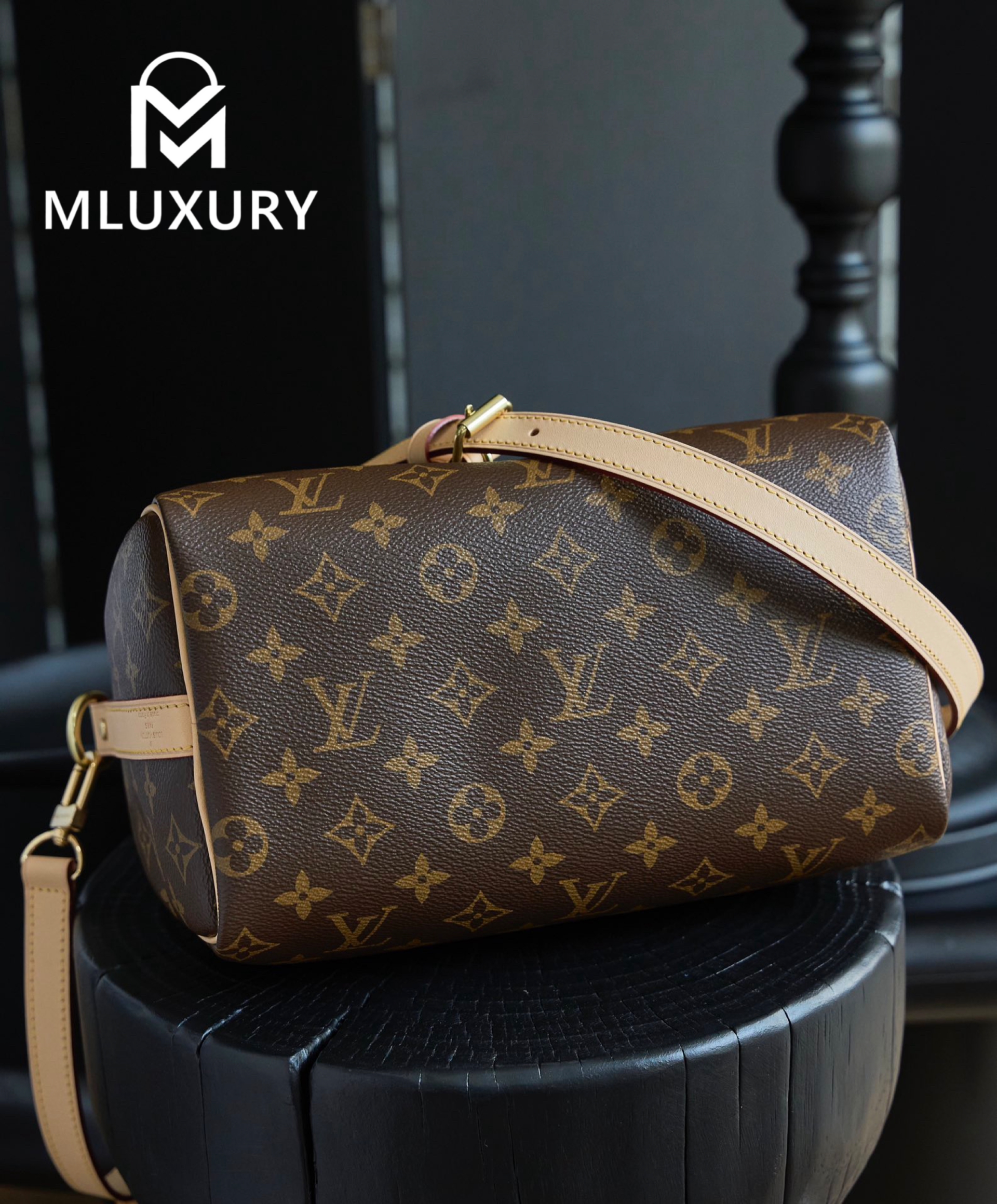 LOUIS VUITTON SPEEDY 25