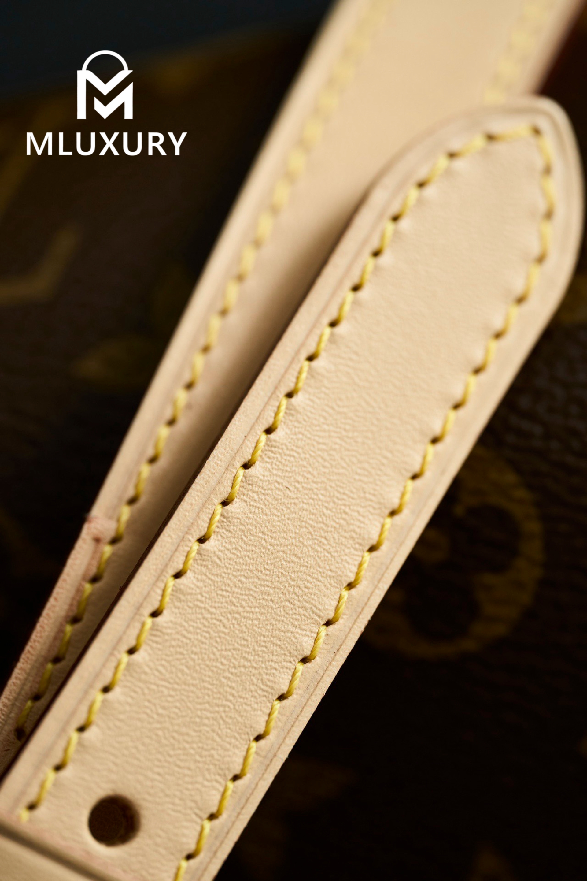 LOUIS VUITTON SPEEDY 25