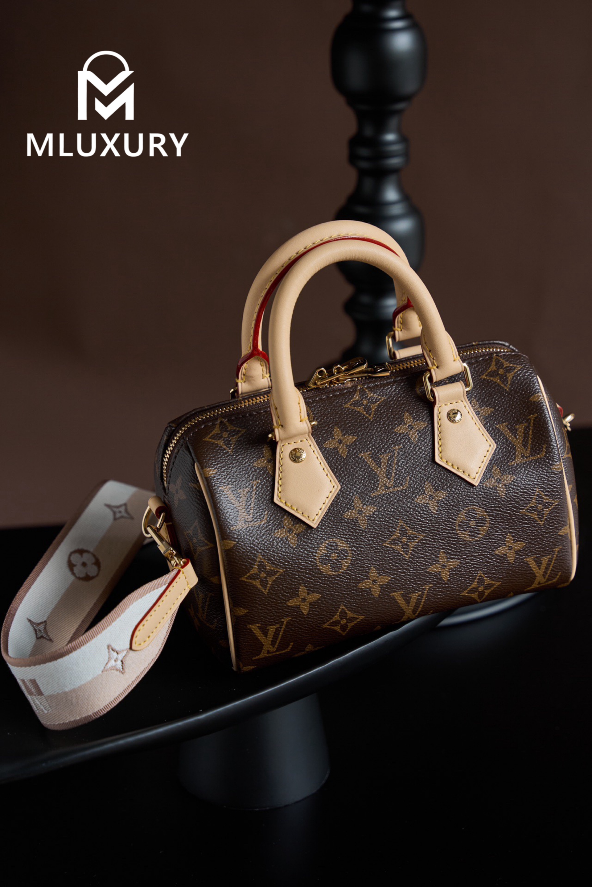 LOUIS VUITTON SPEEDY 20