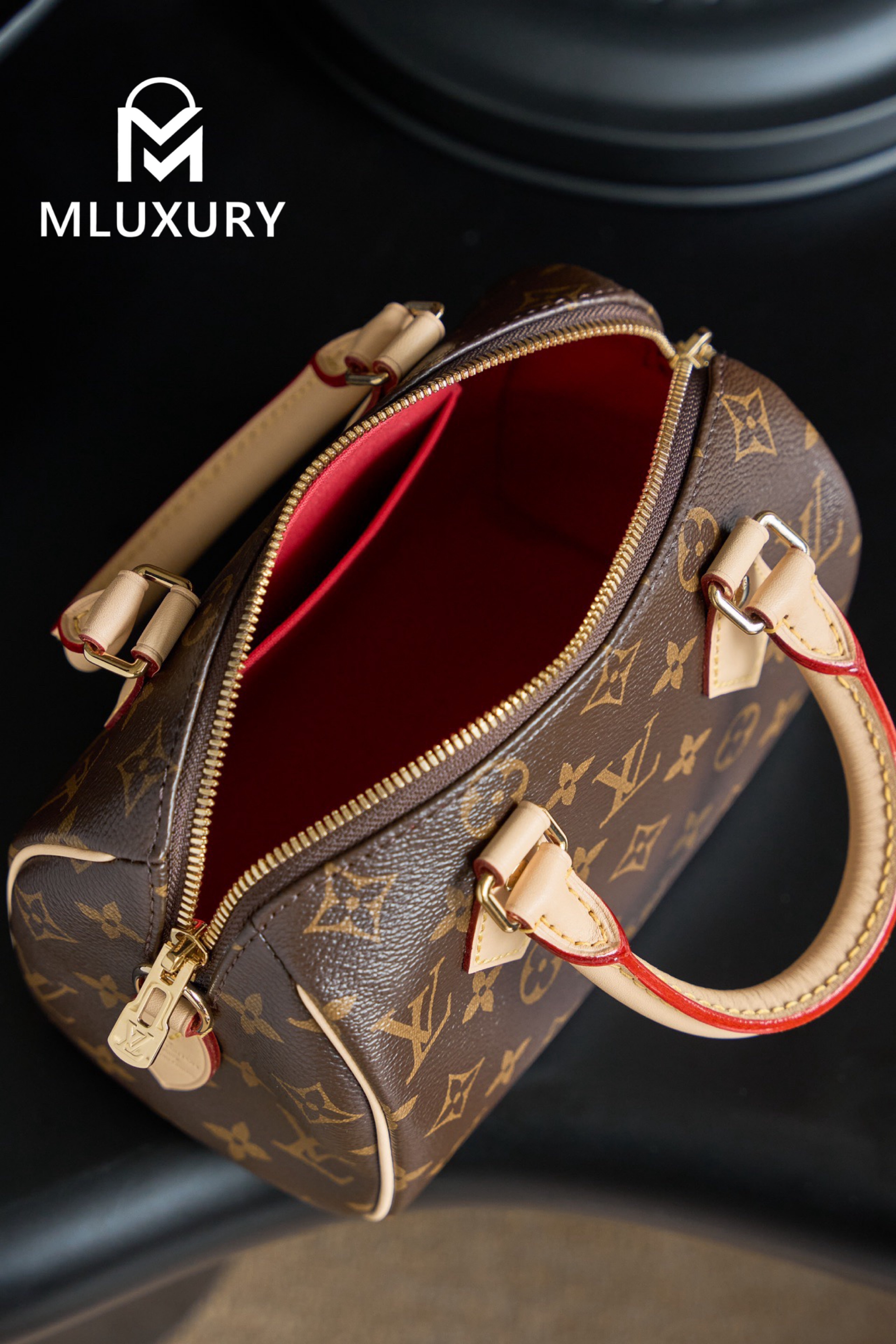LOUIS VUITTON SPEEDY 20