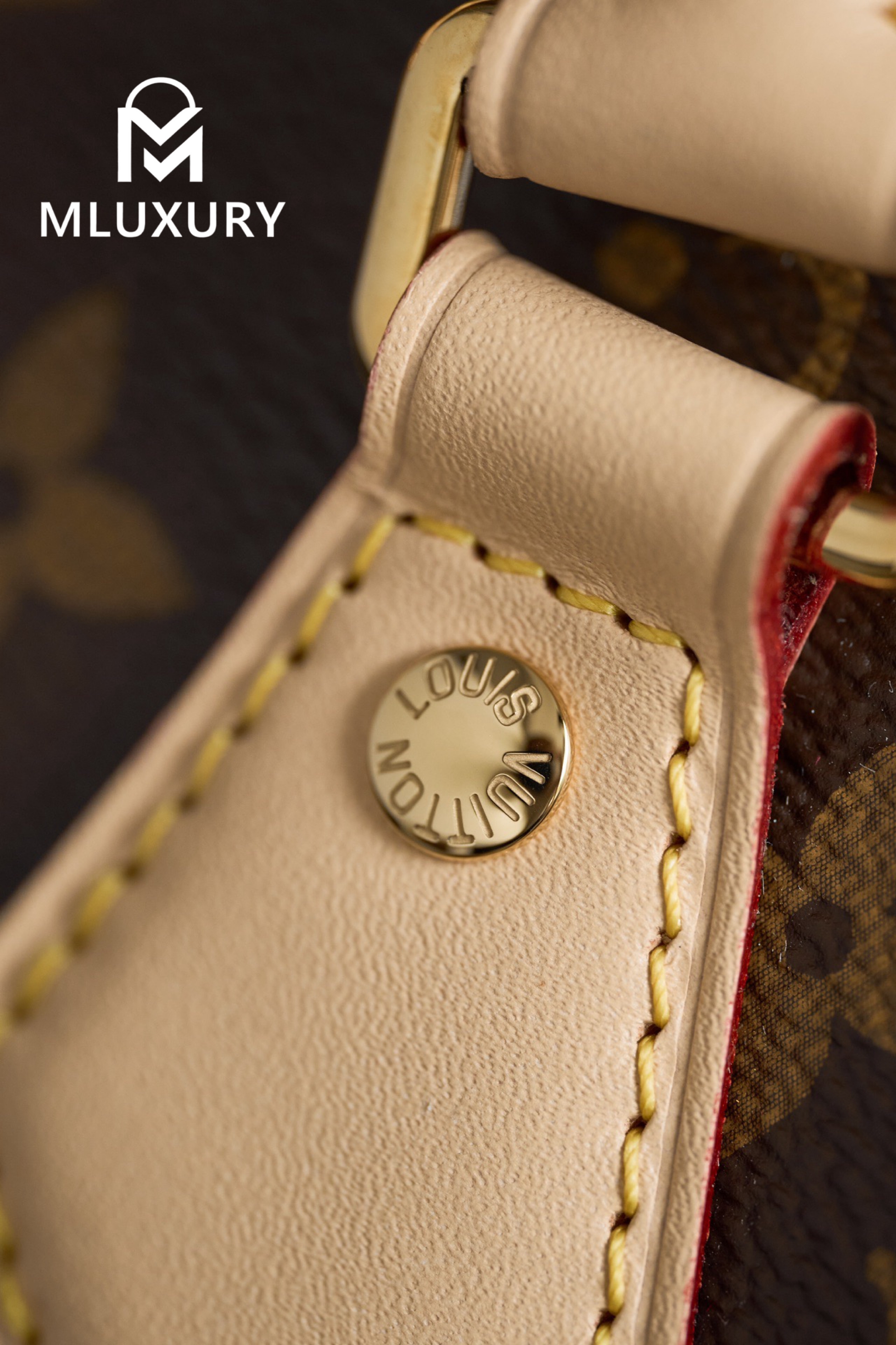LOUIS VUITTON SPEEDY 20