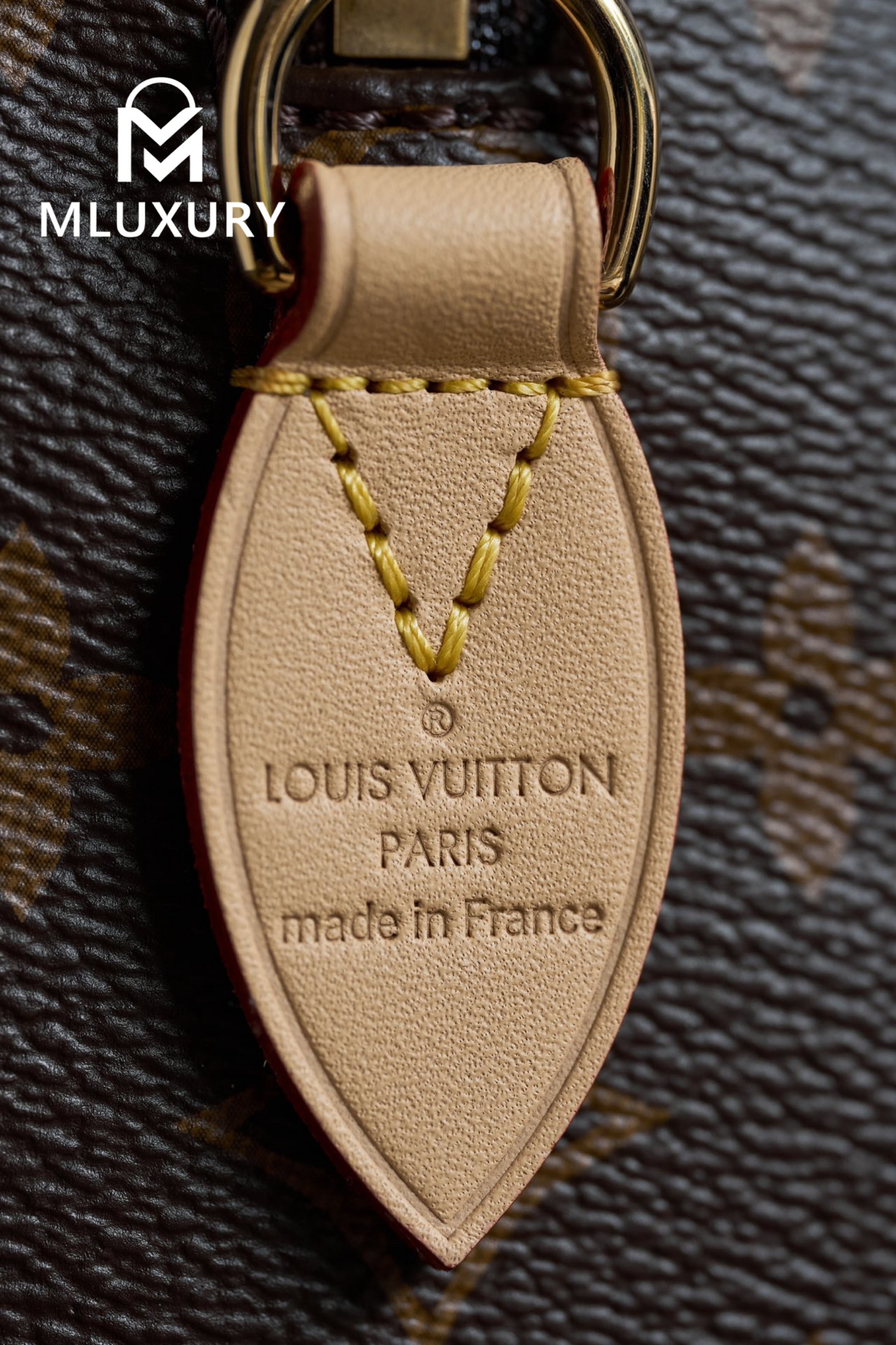 LOUIS VUITTON SPEEDY 20