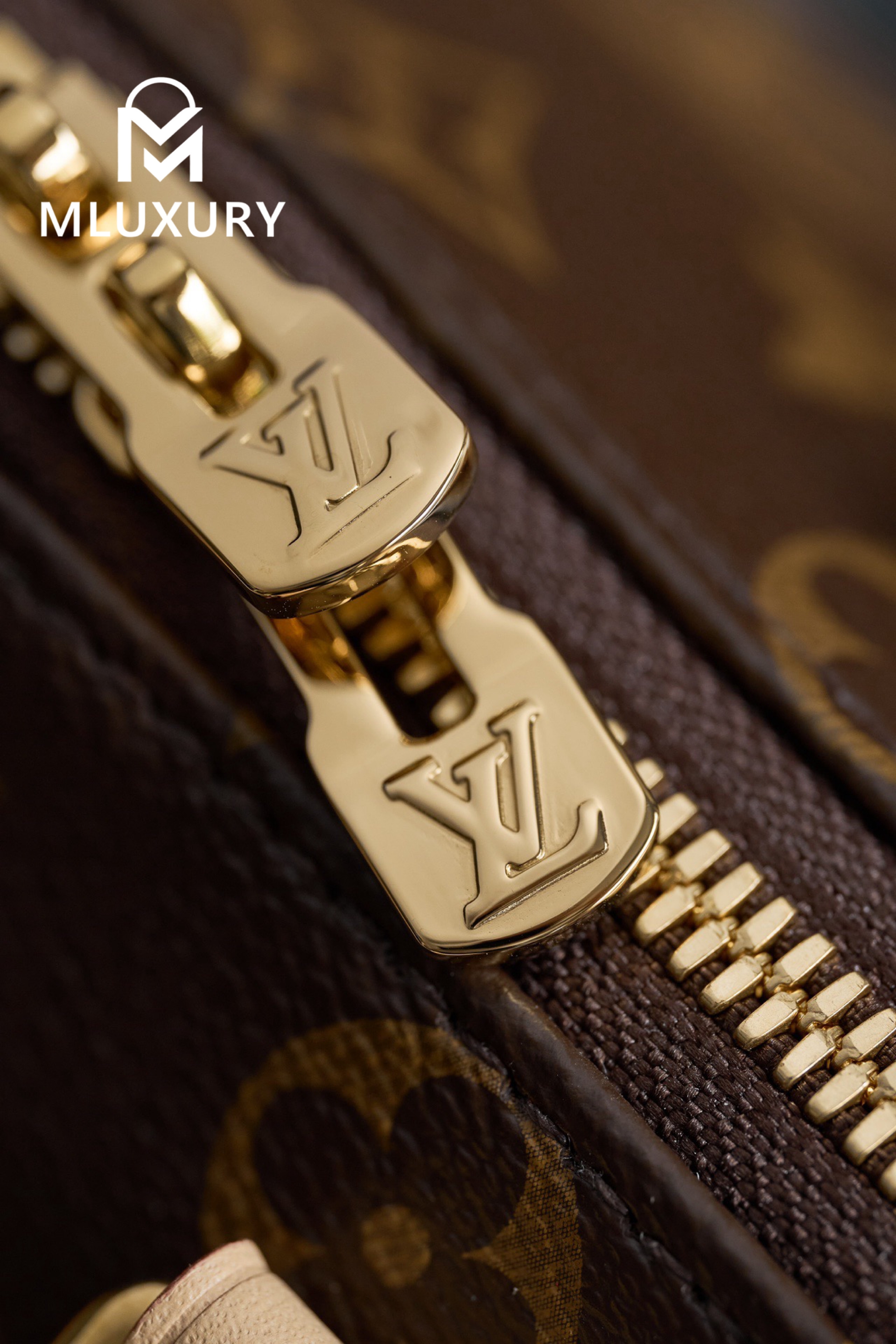 LOUIS VUITTON SPEEDY 20