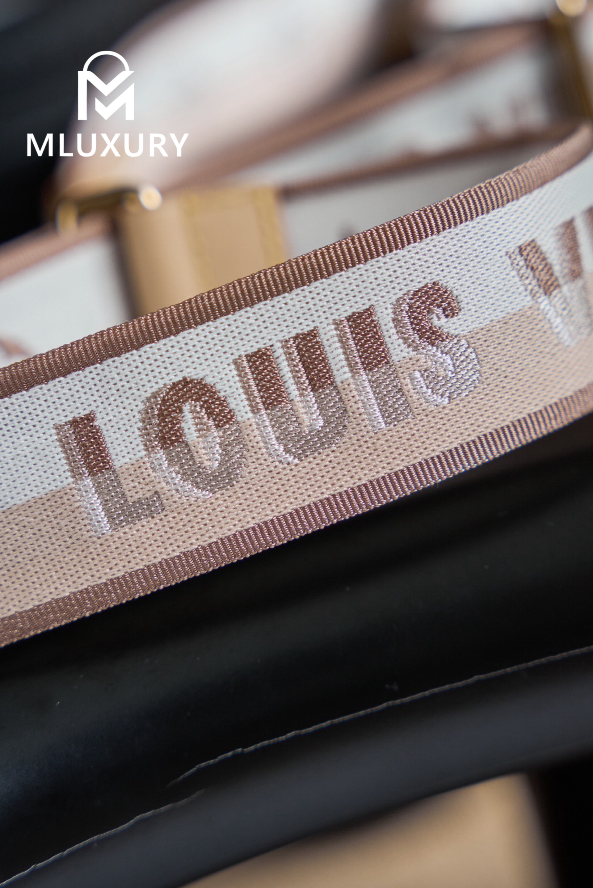 LOUIS VUITTON SPEEDY 20