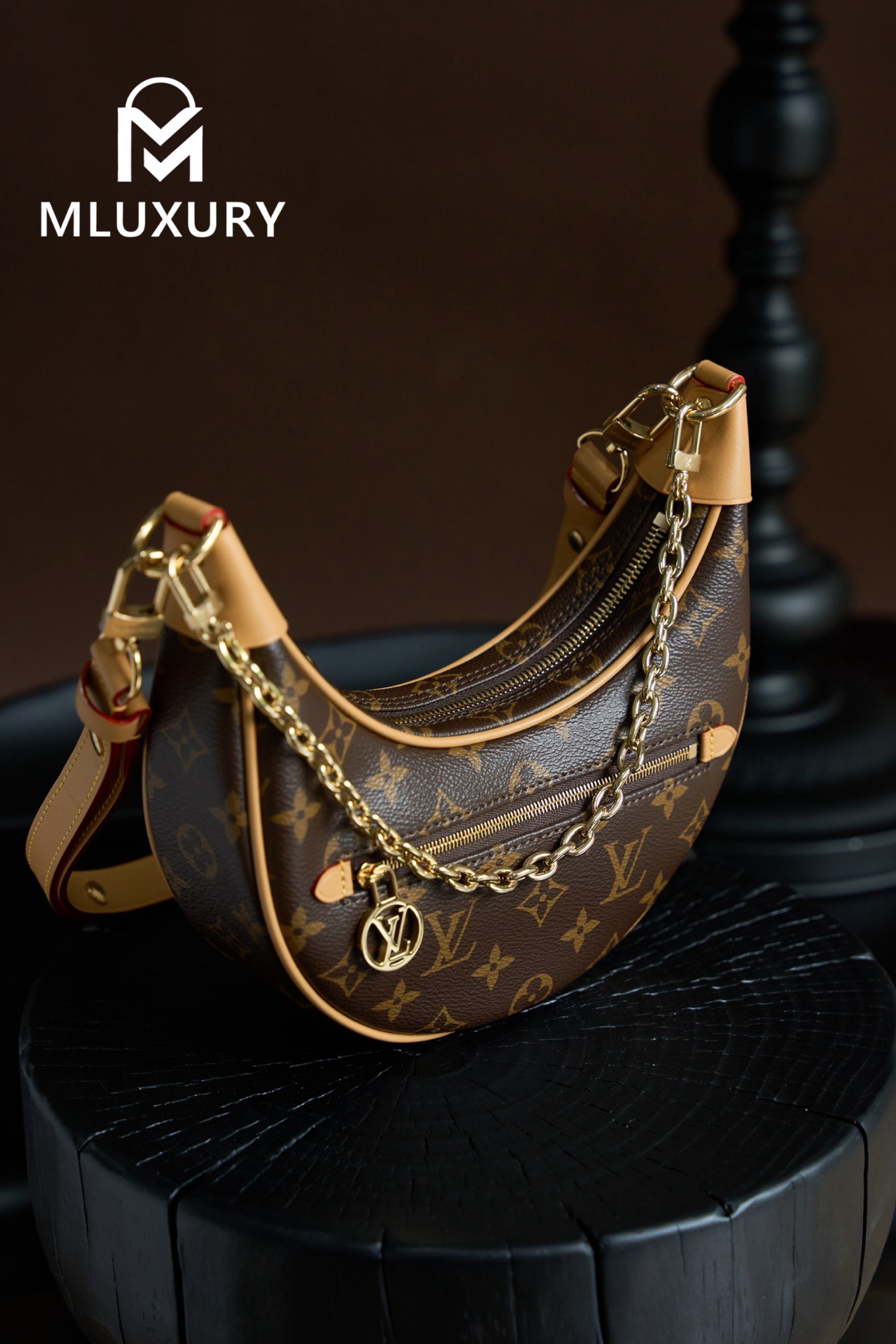 LOUIS VUITTON LOOP handbag