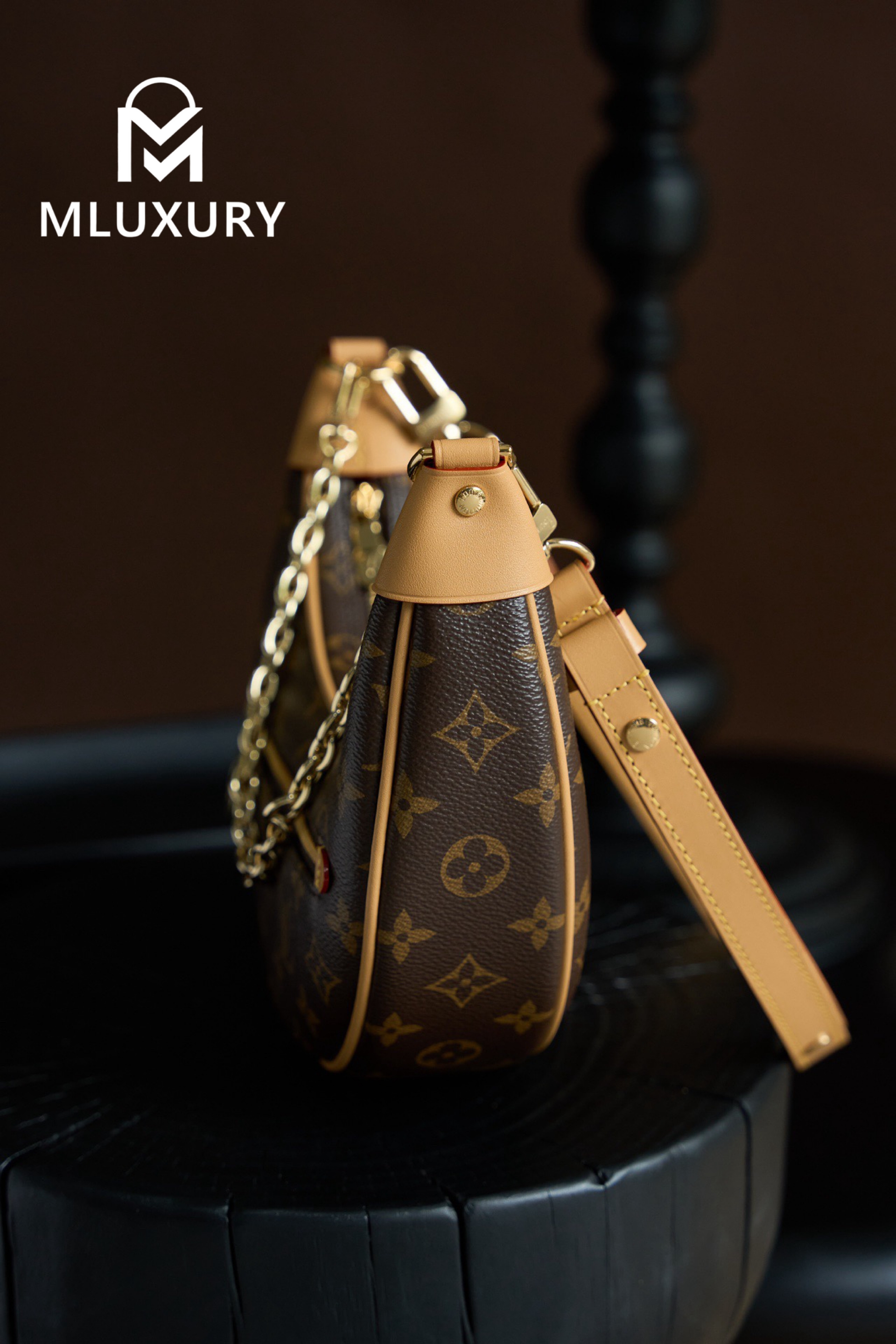 LOUIS VUITTON LOOP handbag