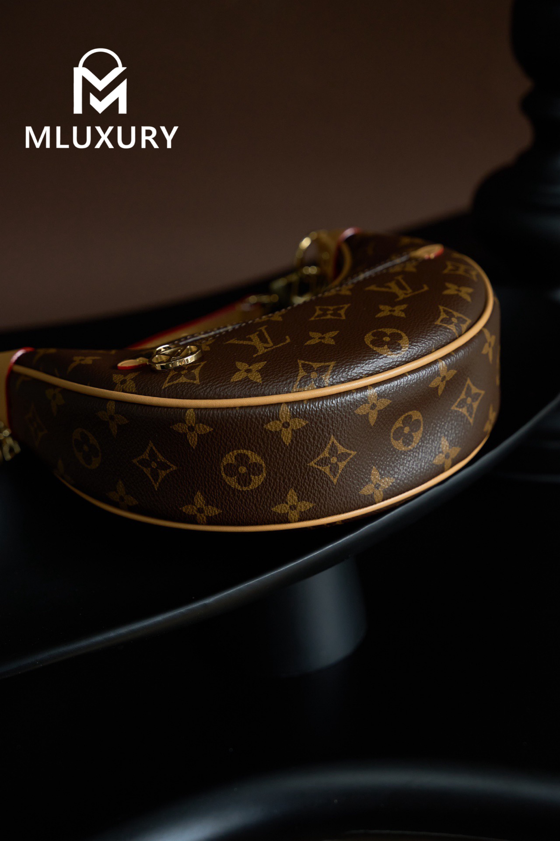 LOUIS VUITTON LOOP handbag