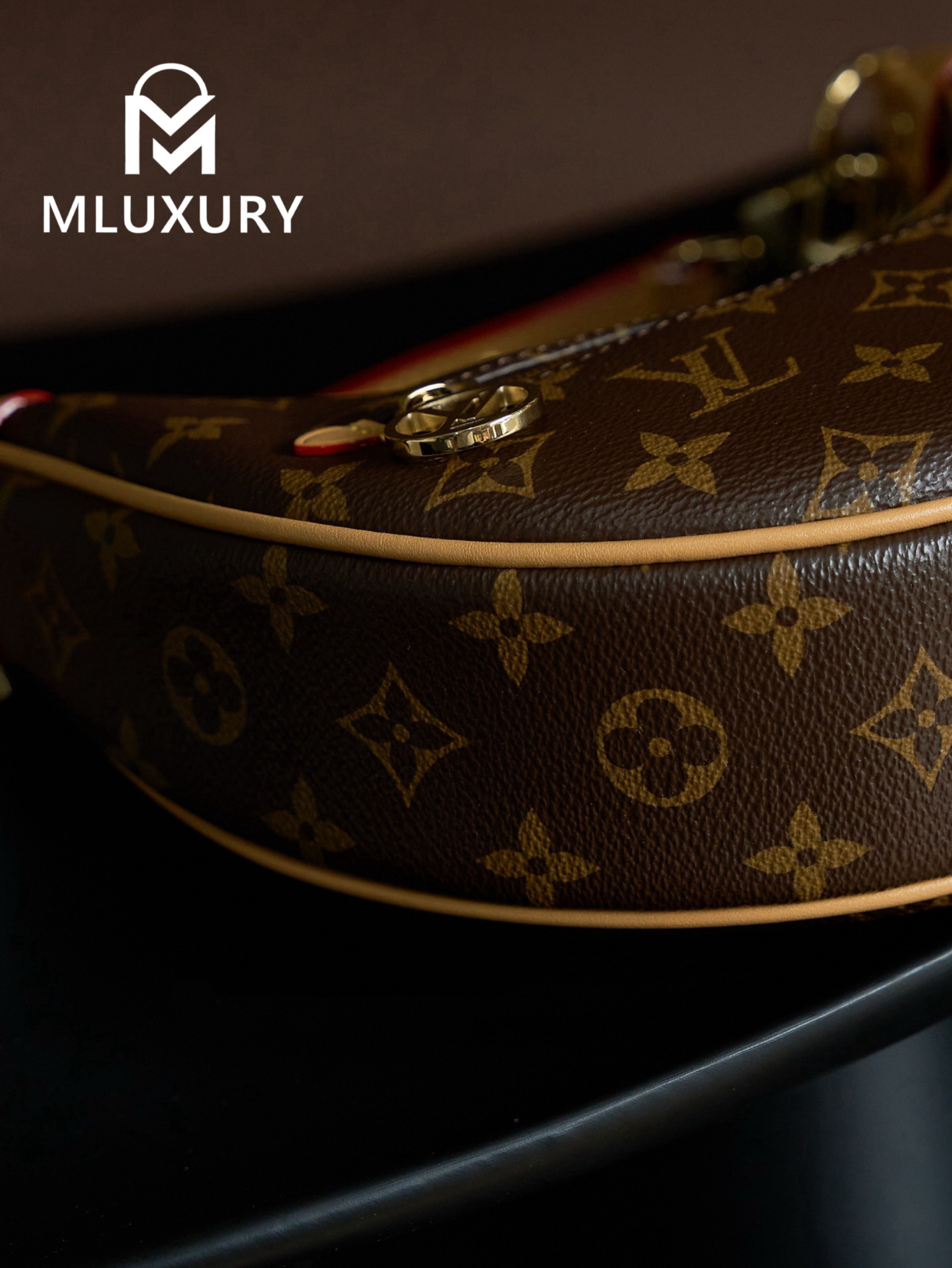 LOUIS VUITTON LOOP handbag