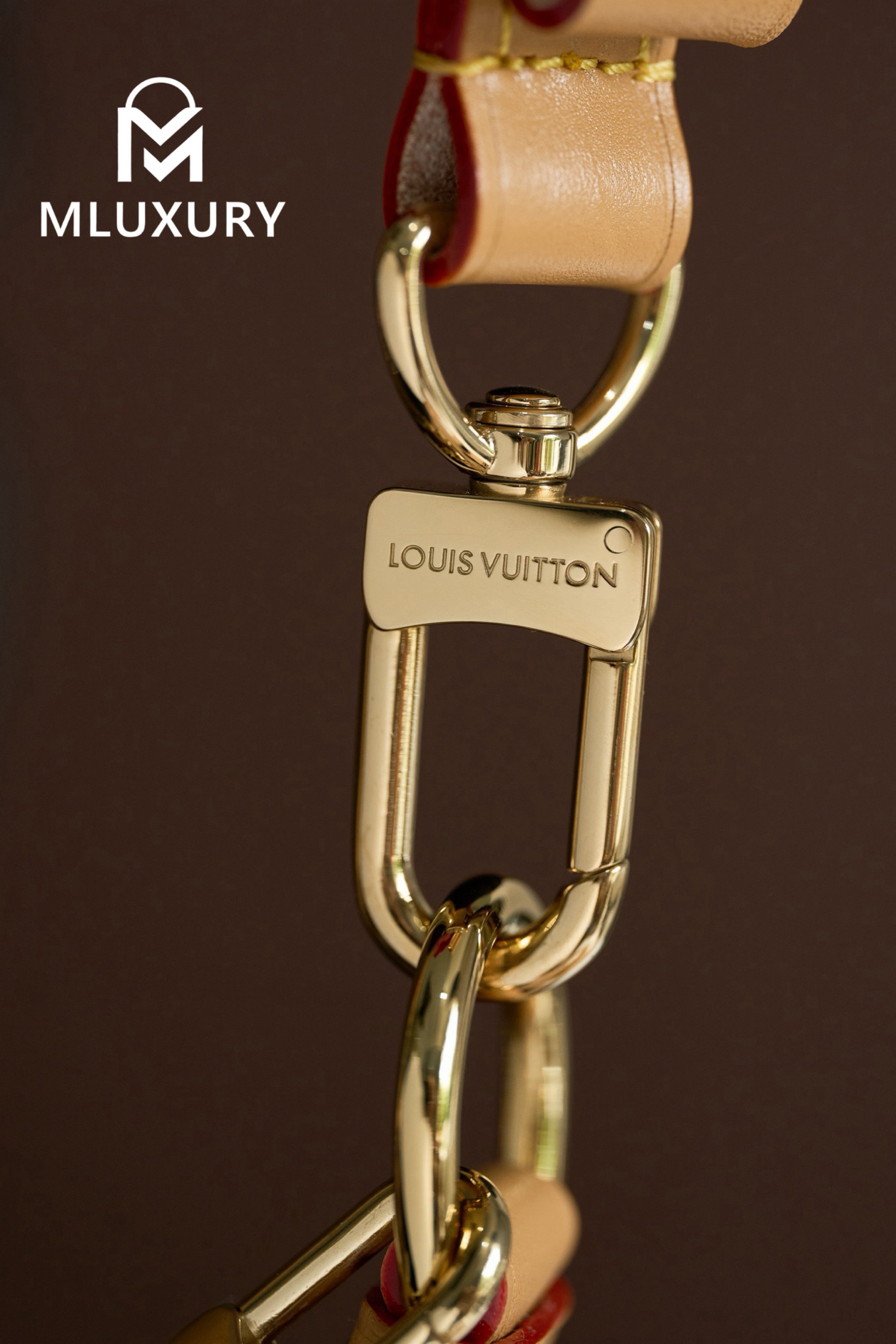 LOUIS VUITTON LOOP handbag