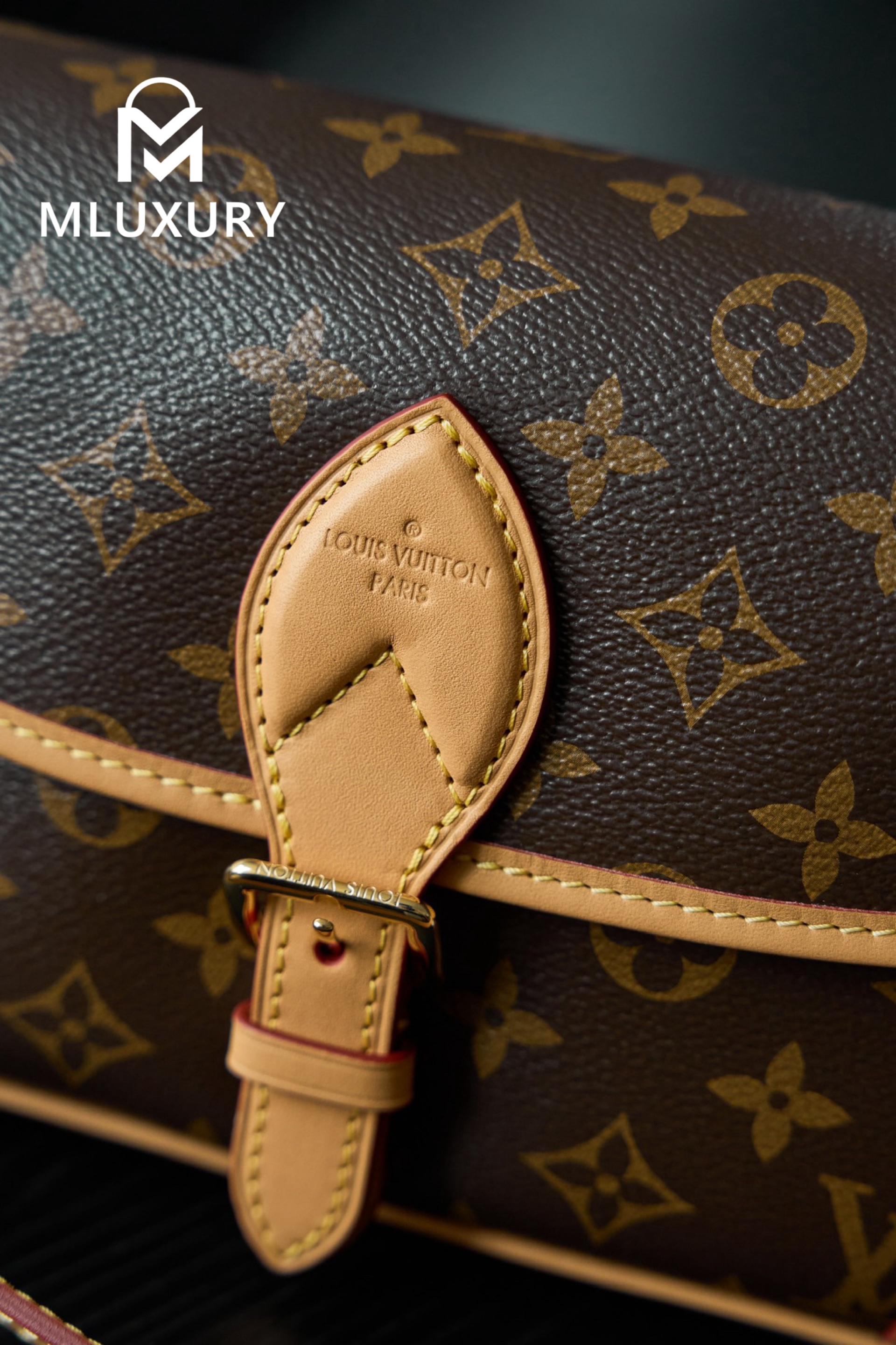 LOUIS VUITTON DIANE BLACK