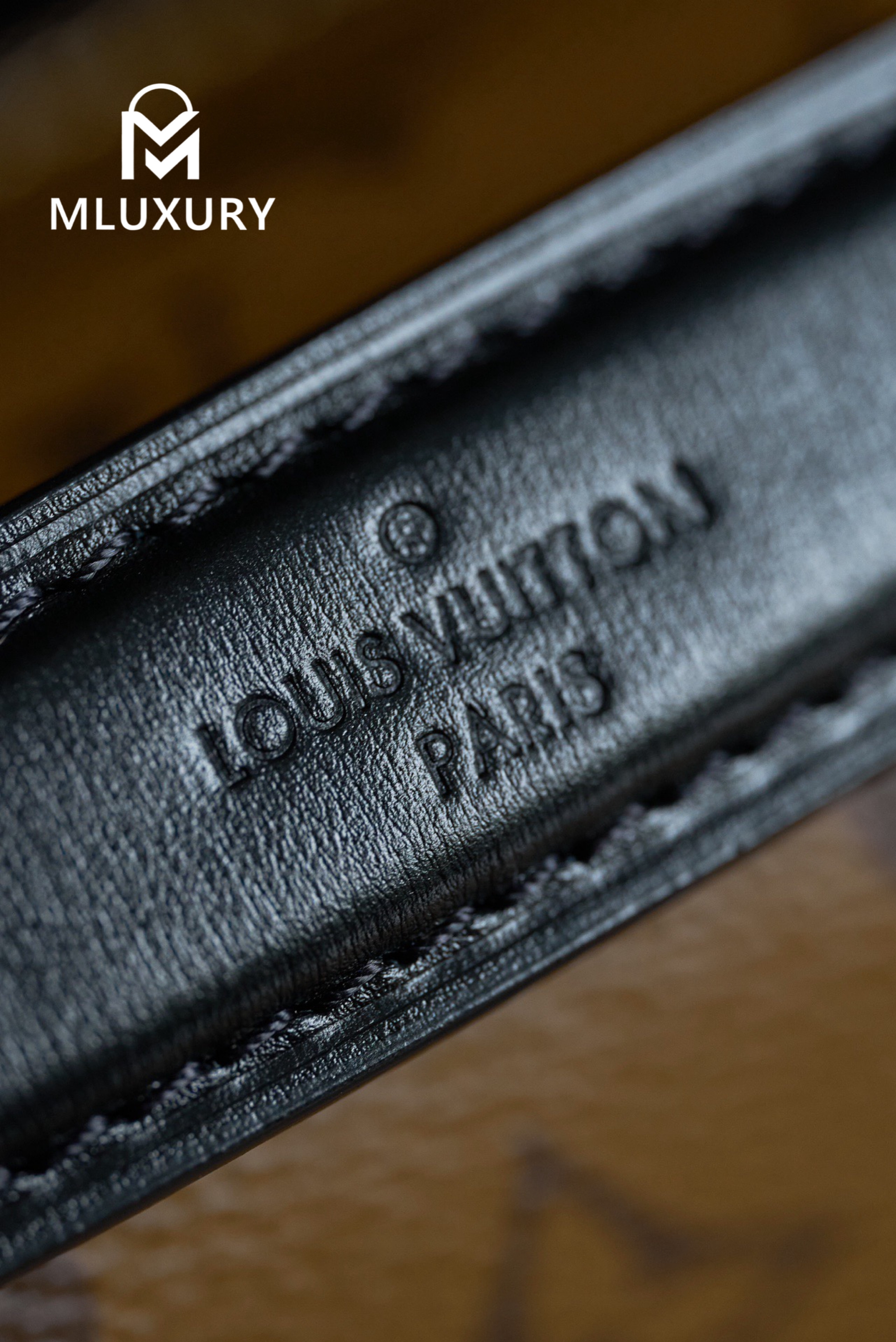 LOUIS VUITTON Pochette Metis Handbag