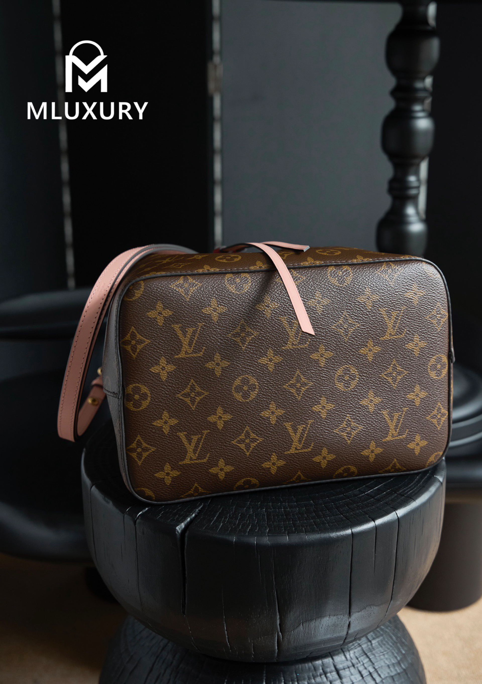 LOUIS VUITTON NEONOE Handbag