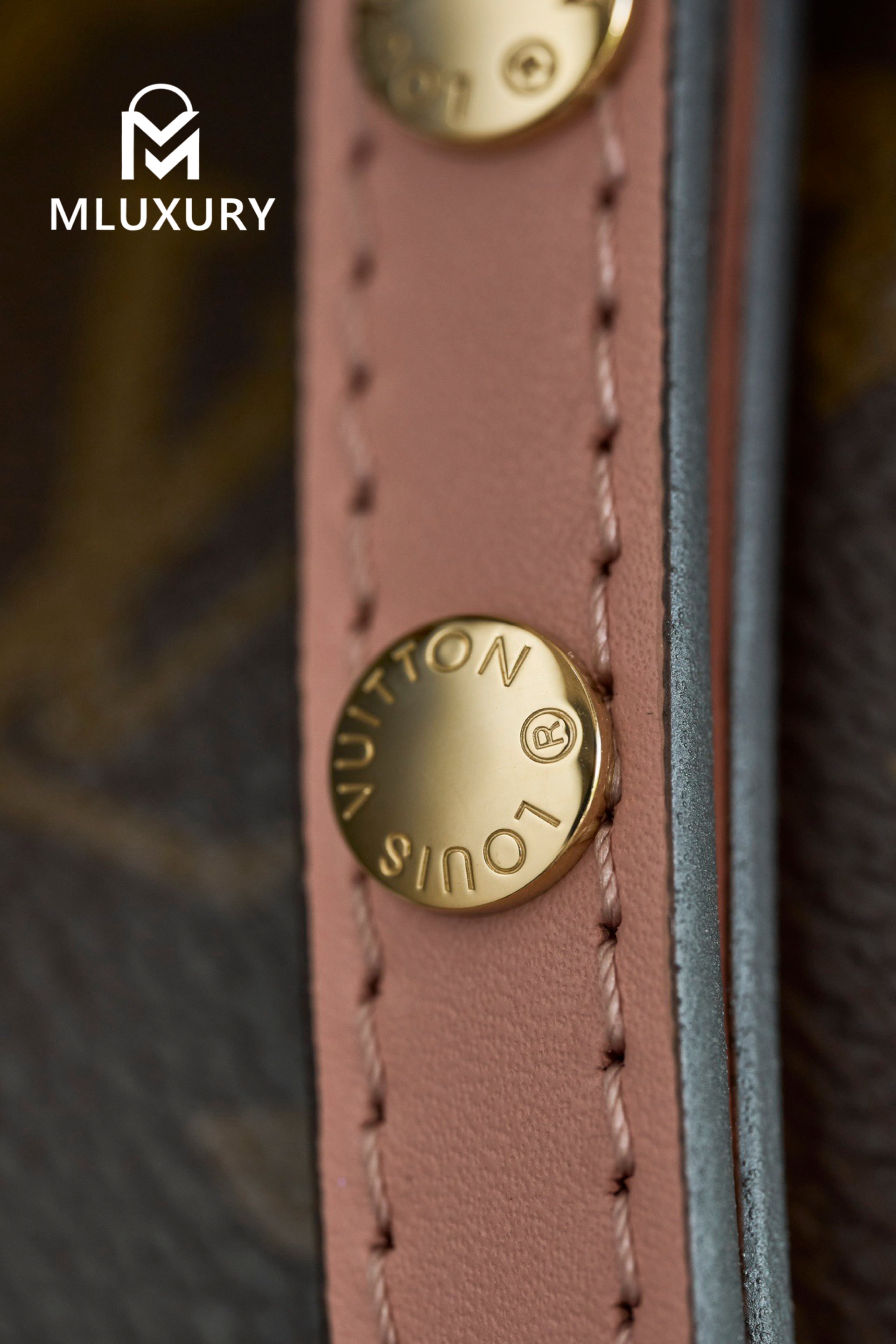 LOUIS VUITTON NEONOE Handbag